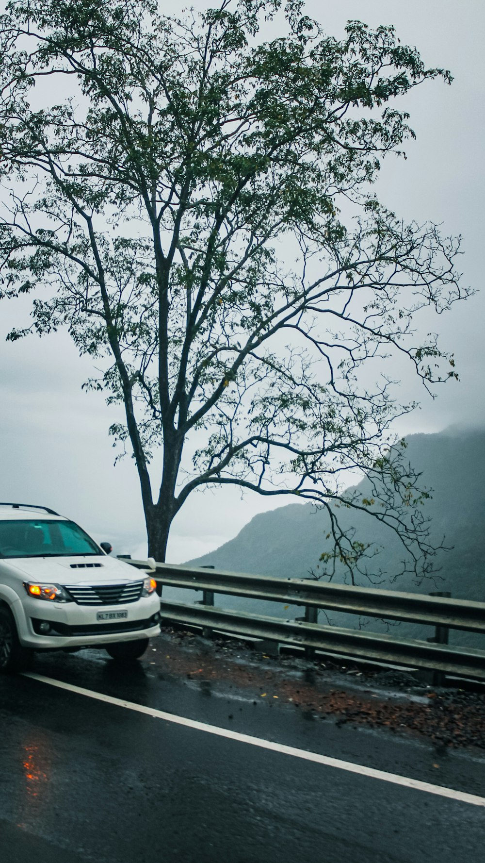 a car driving down a wet road next to a tree