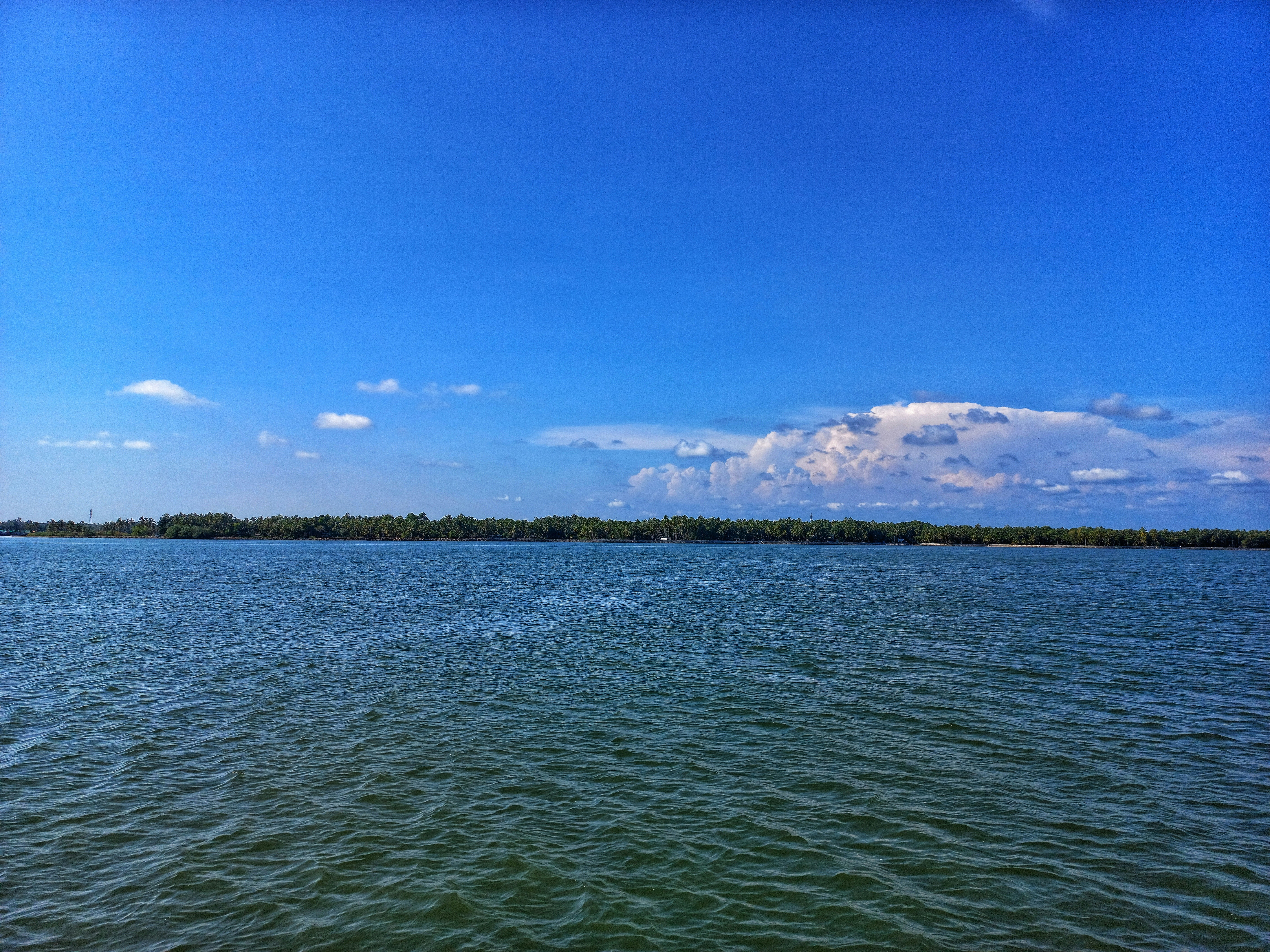 Photo by s_j__man1005