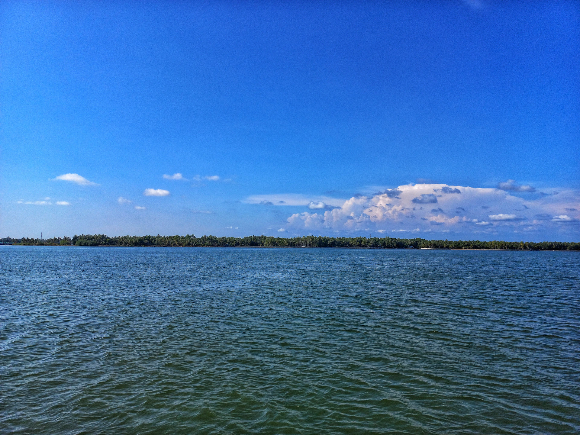 a large body of water with trees in the background