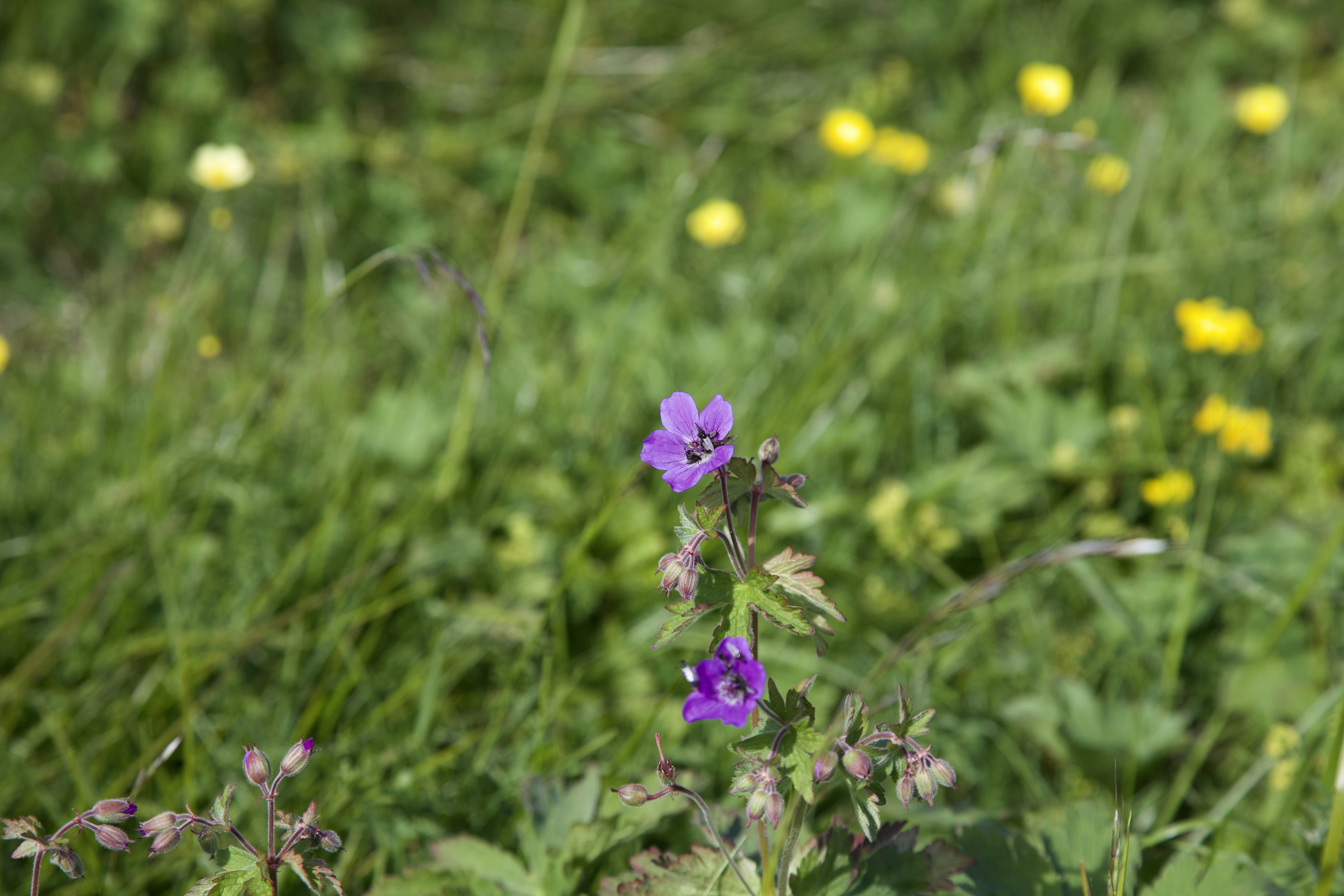 Photo by stockbirken