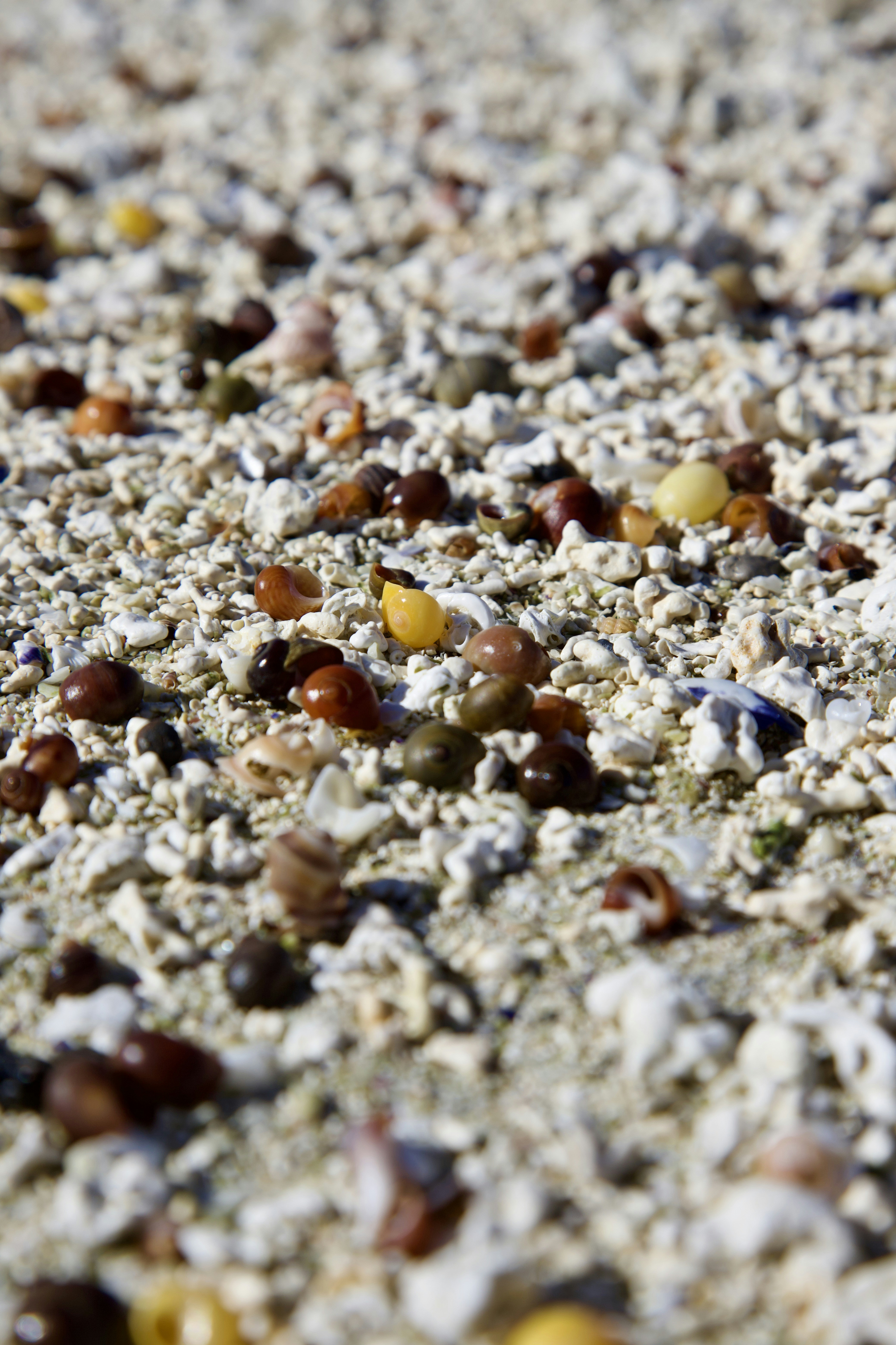 Photo by stockbirken