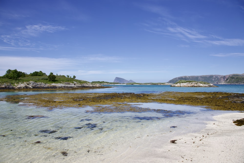 a body of water sitting next to a sandy beach