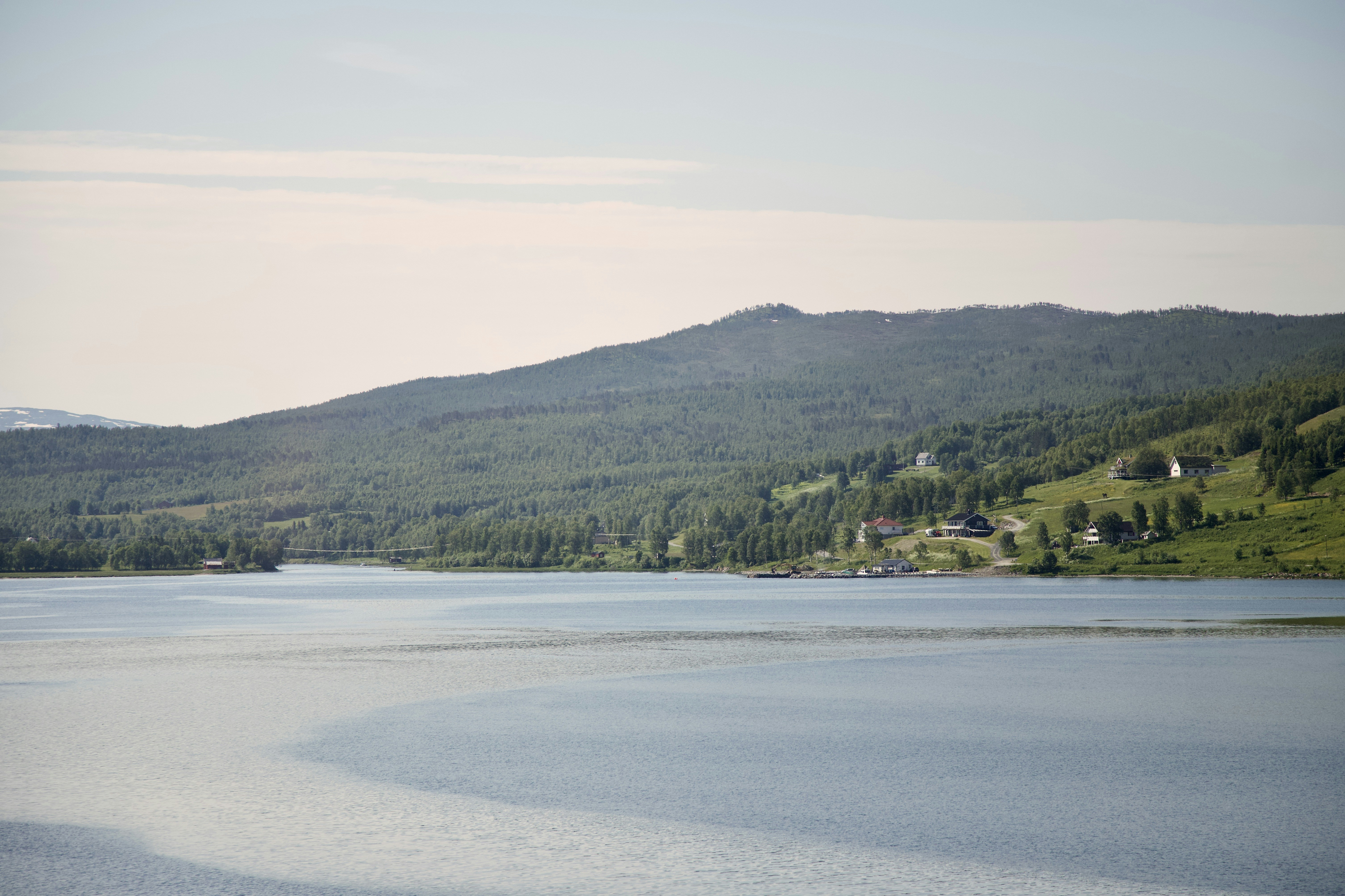 Photo by stockbirken