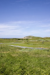a grassy field with a stream running through it