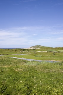 a grassy field with a stream running through it