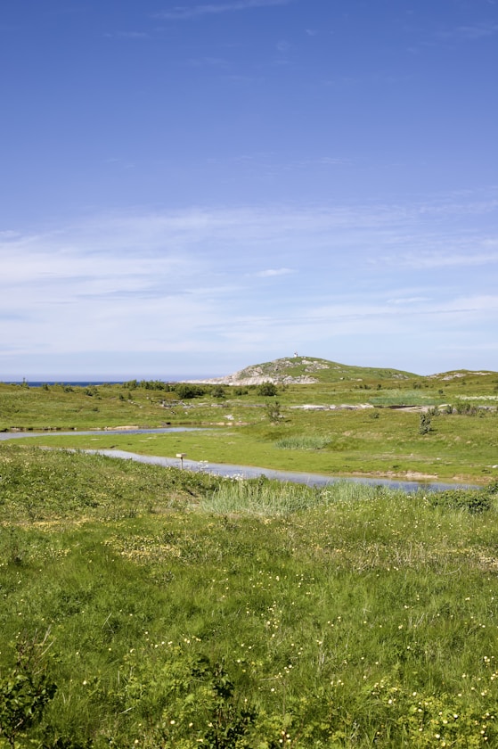a grassy field with a stream running through it