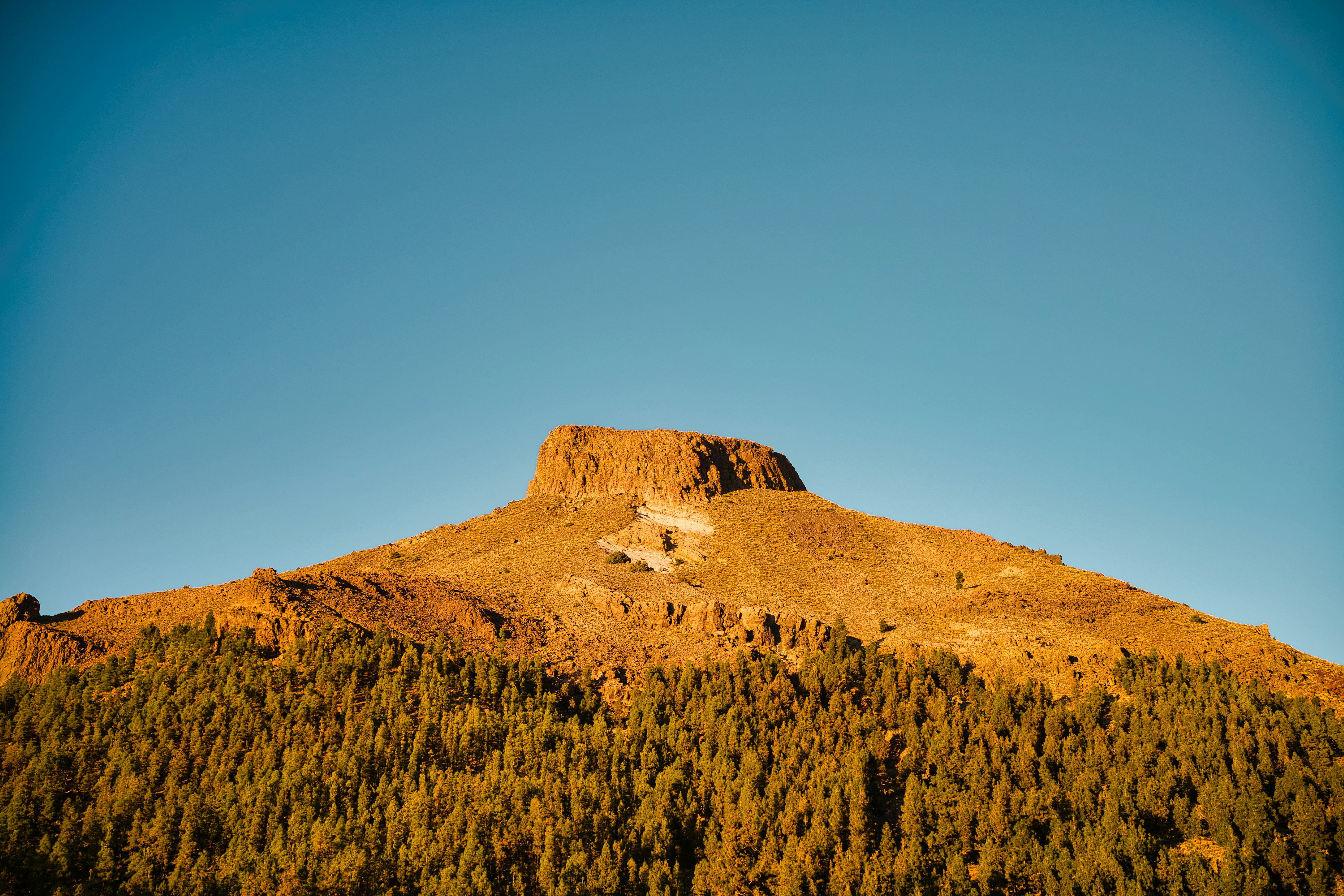 Photo by maksimshutov