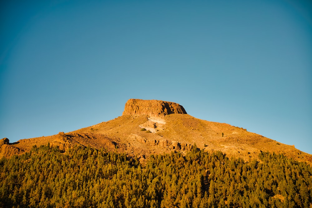a mountain with a tree covered hill in the background