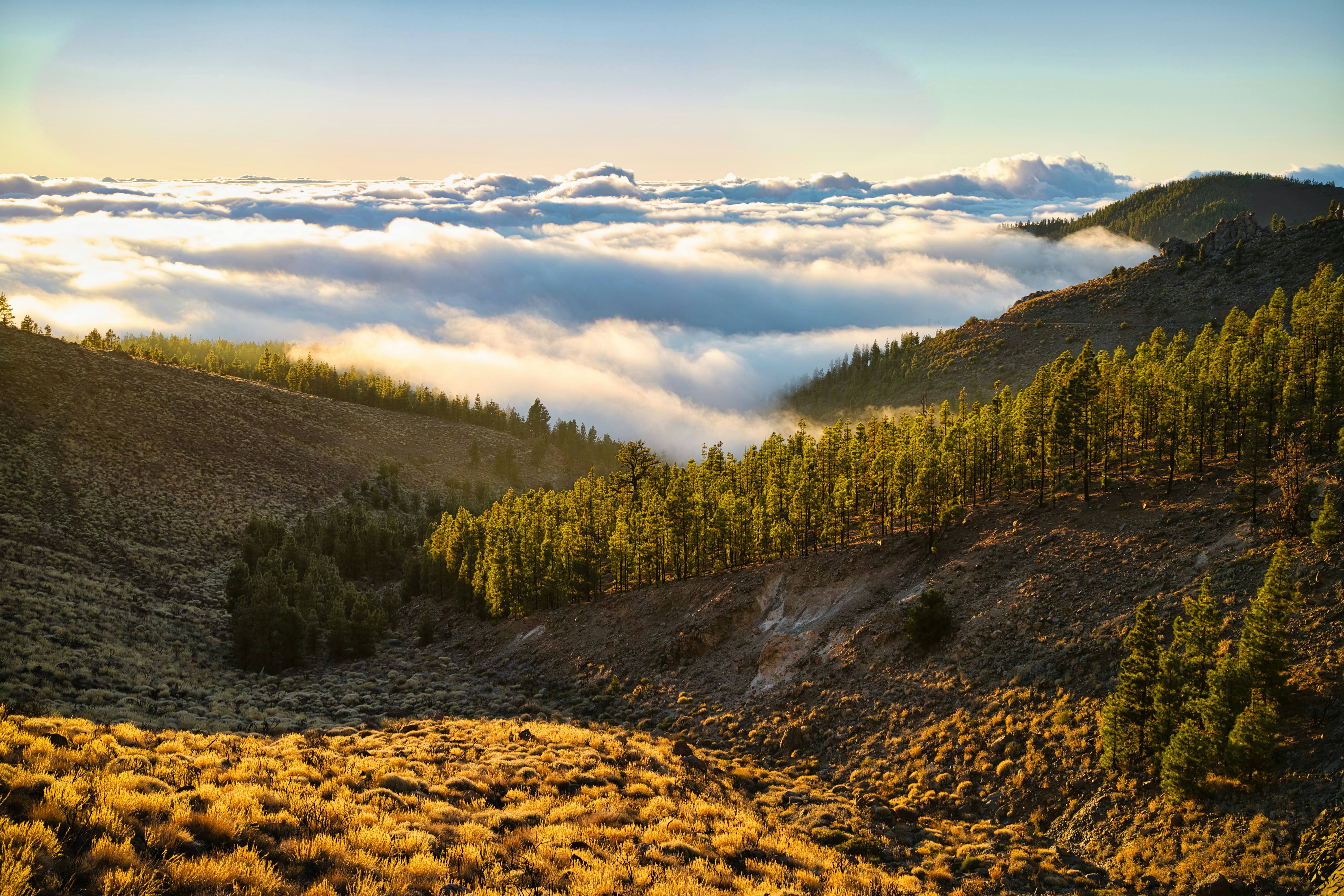 Photo by maksimshutov