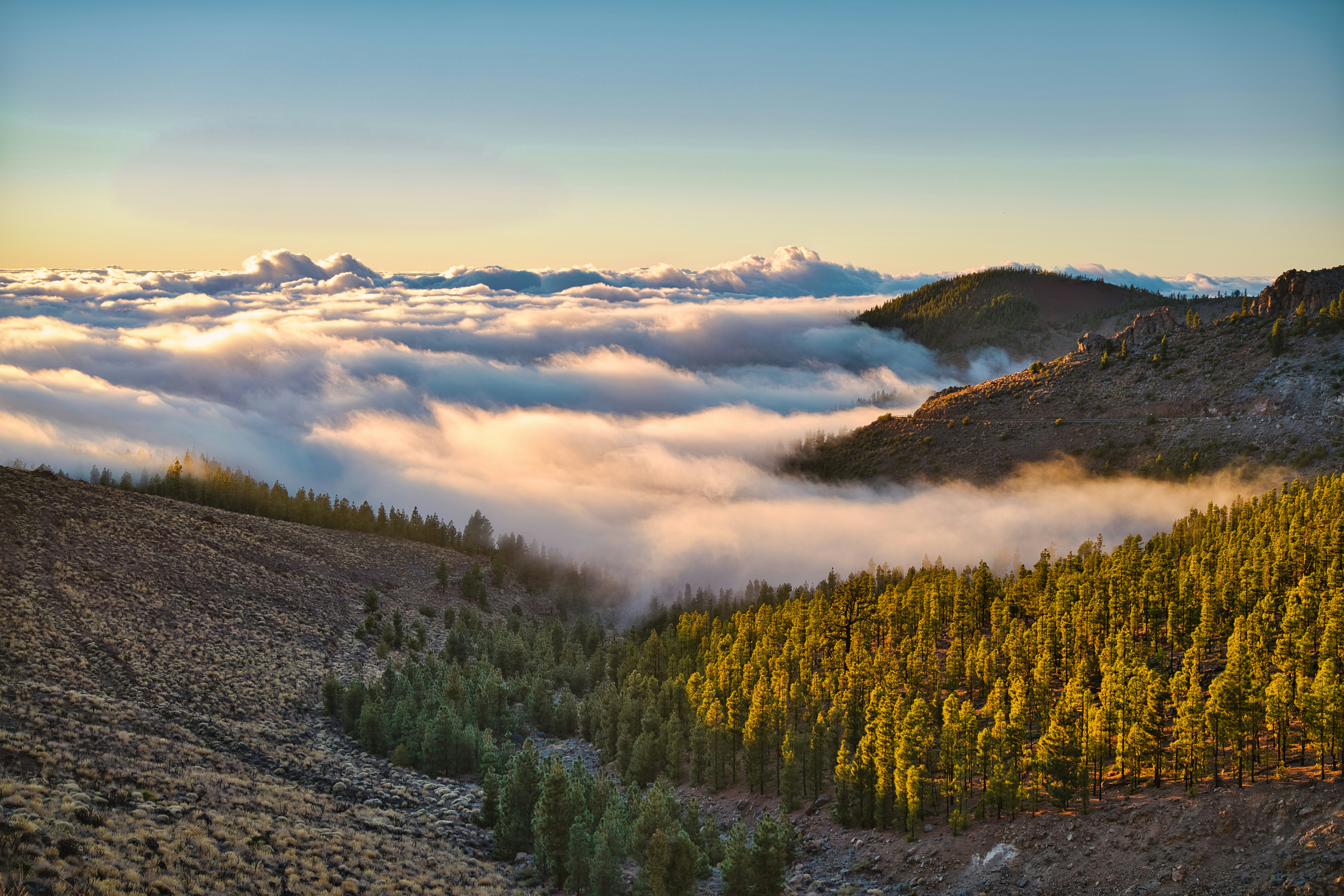 Photo by maksimshutov