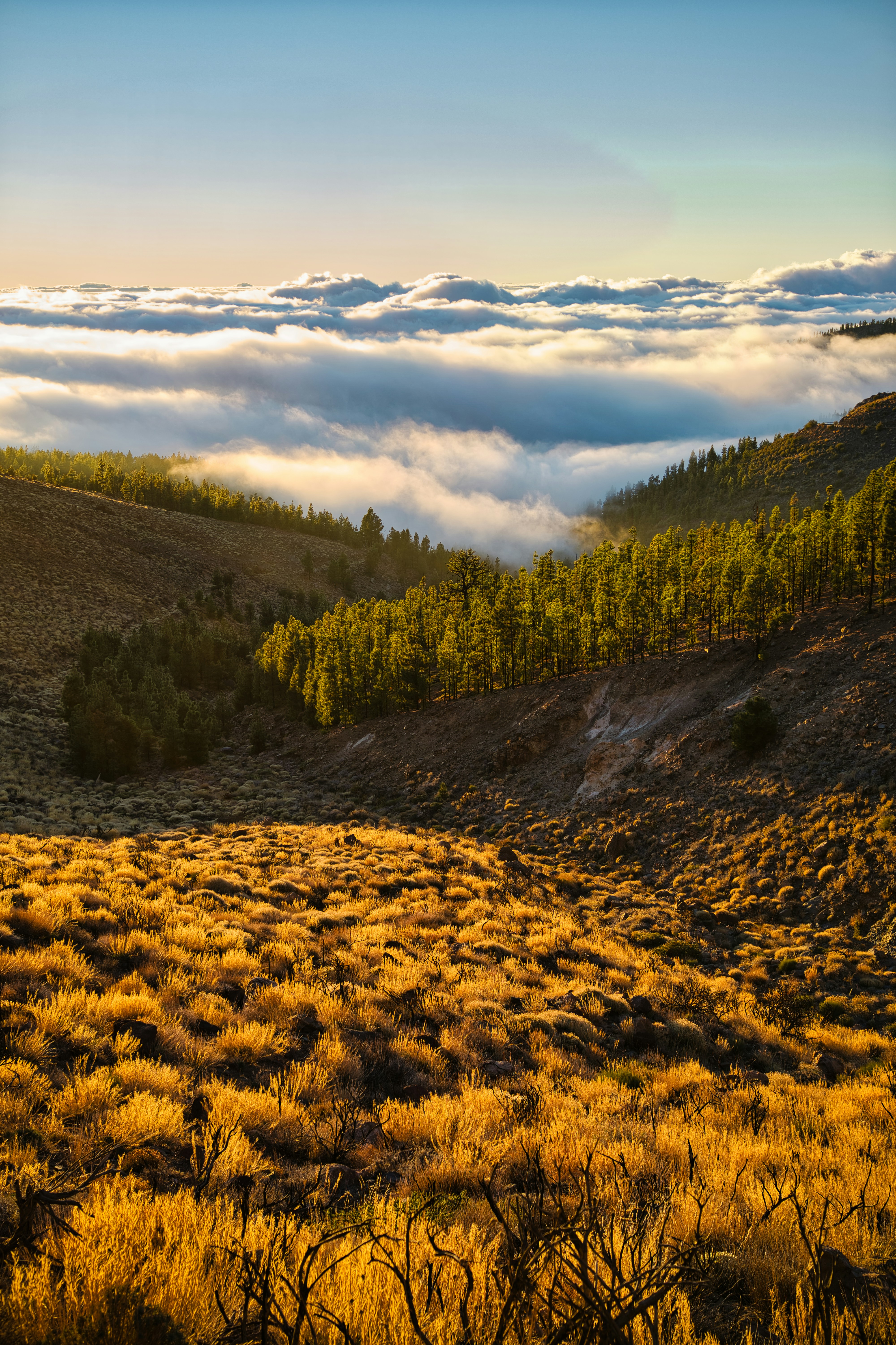 Photo by maksimshutov