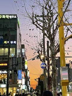 A bustling city street at dusk, illuminated by colorful lights and activity.
