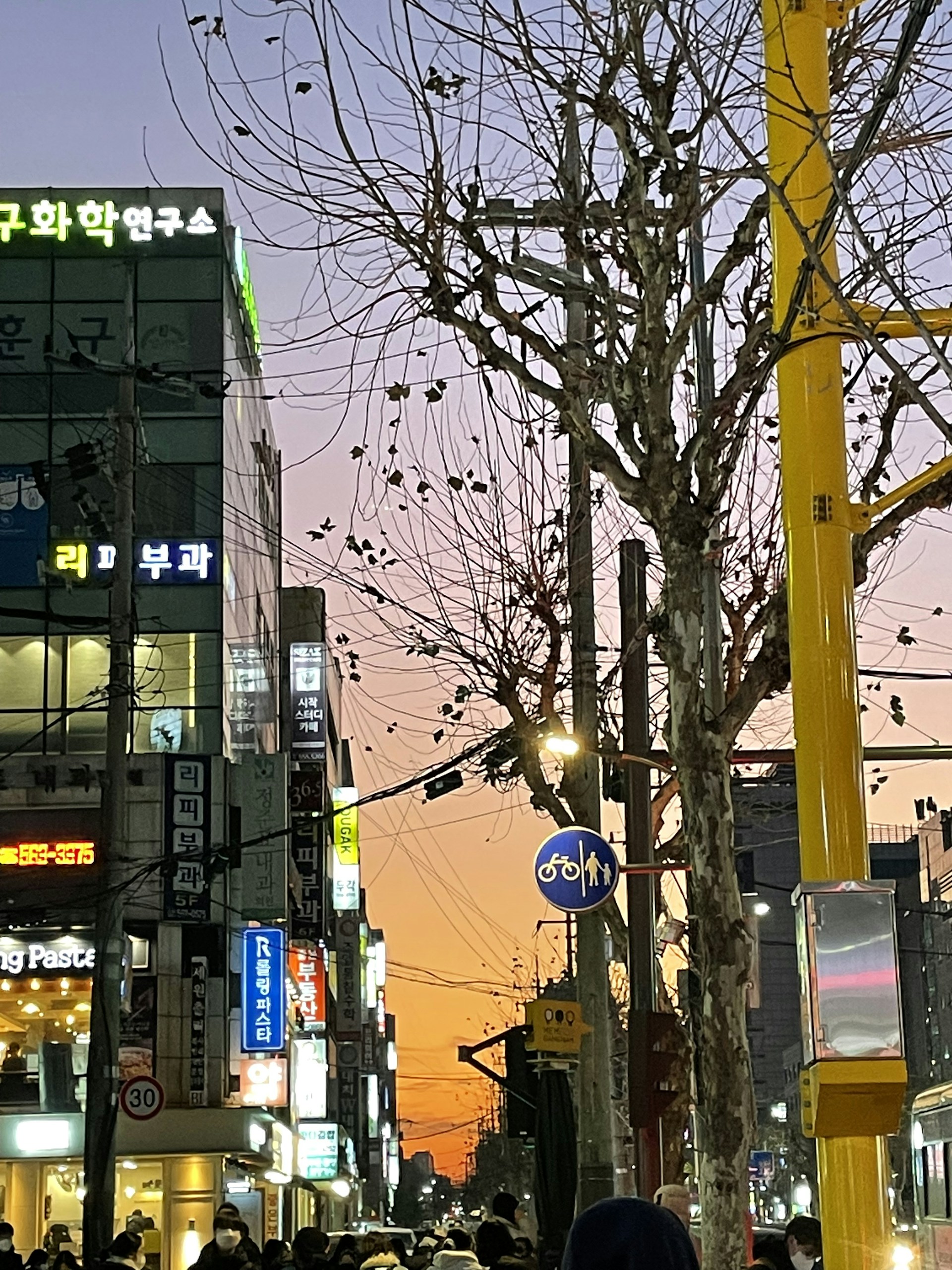 A candid shot of a bustling city street at dusk, with warm orange streetlights contrasting against deep green trees lining the sidewalk.