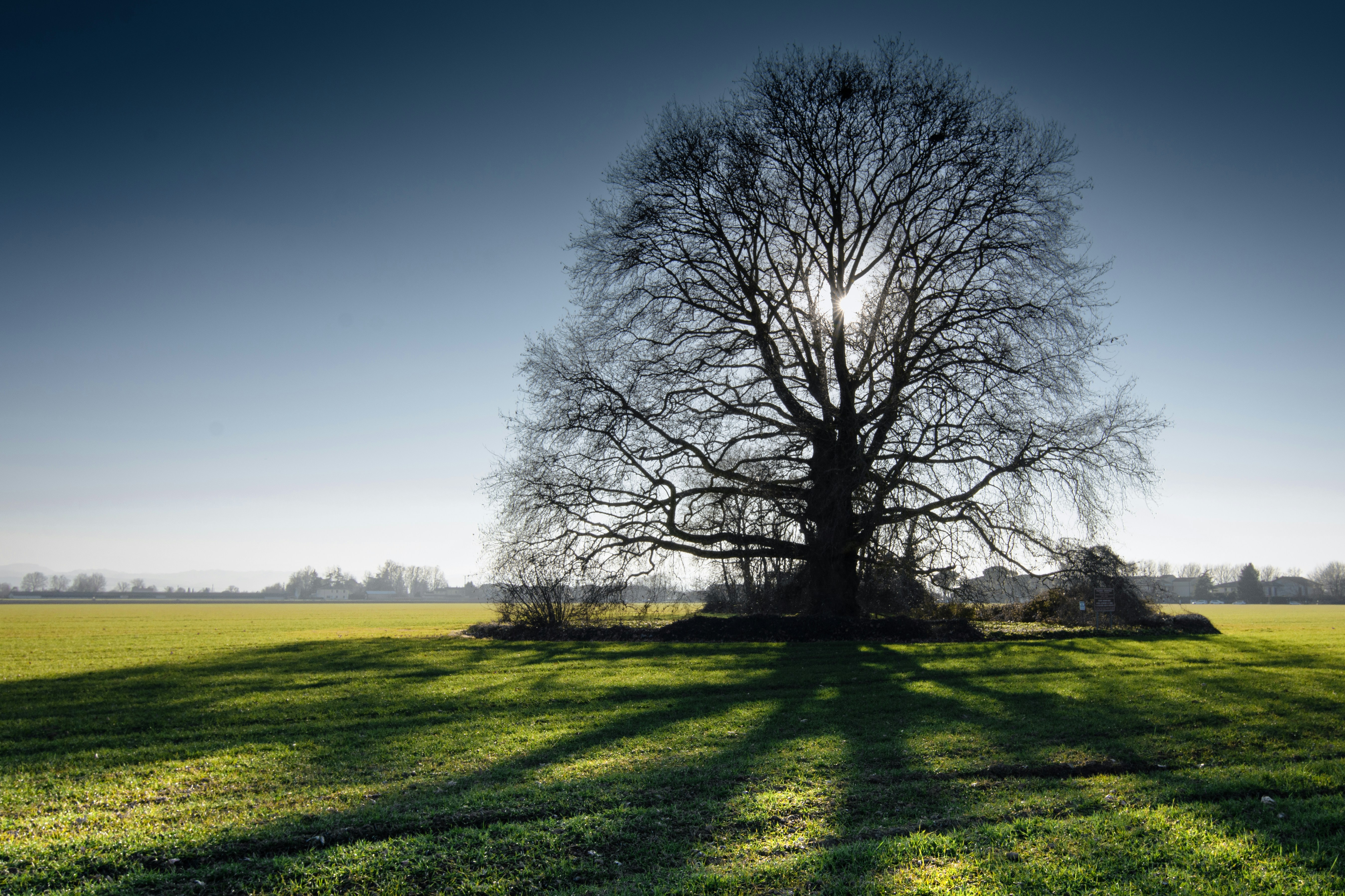 Photo by paolobendandi