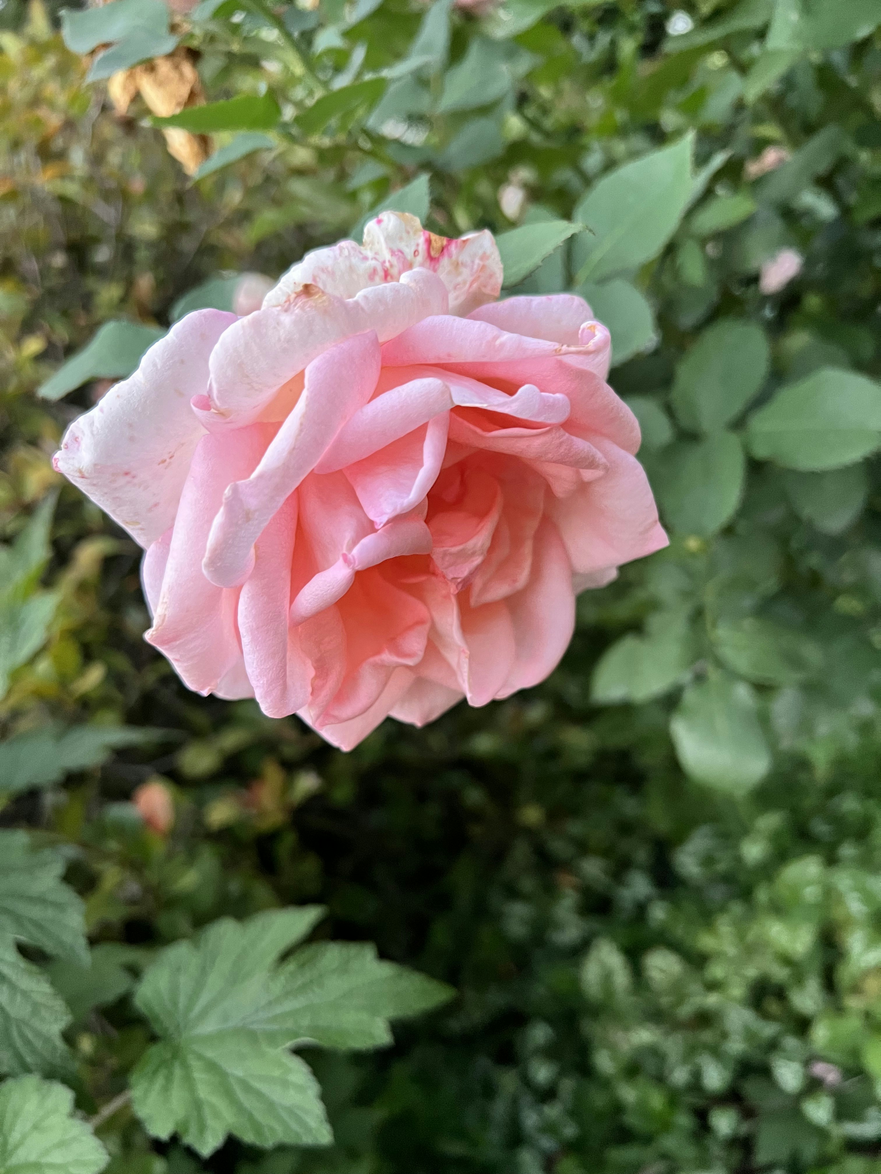 Photo by breweries13