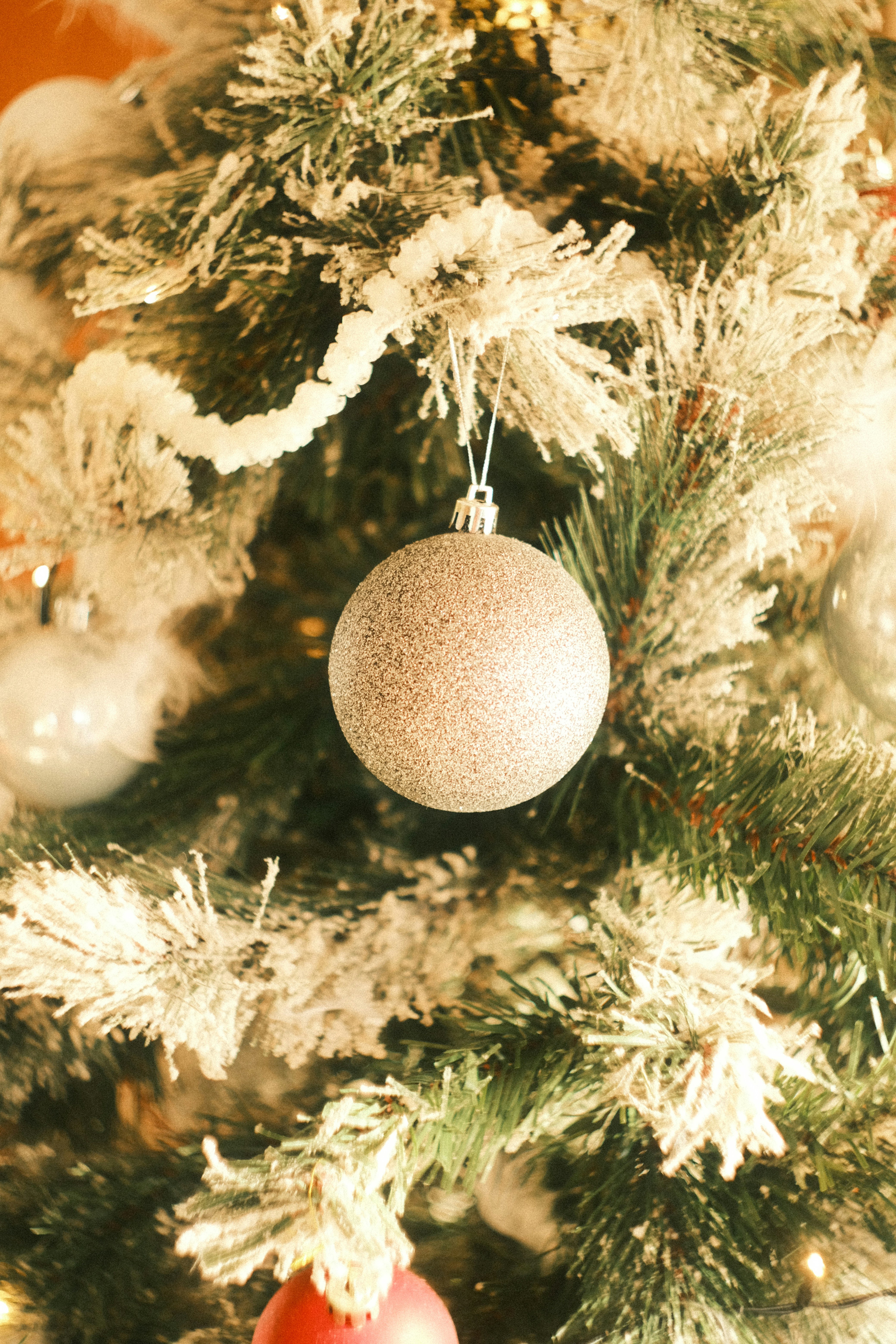 Photo by strangerrobijn123