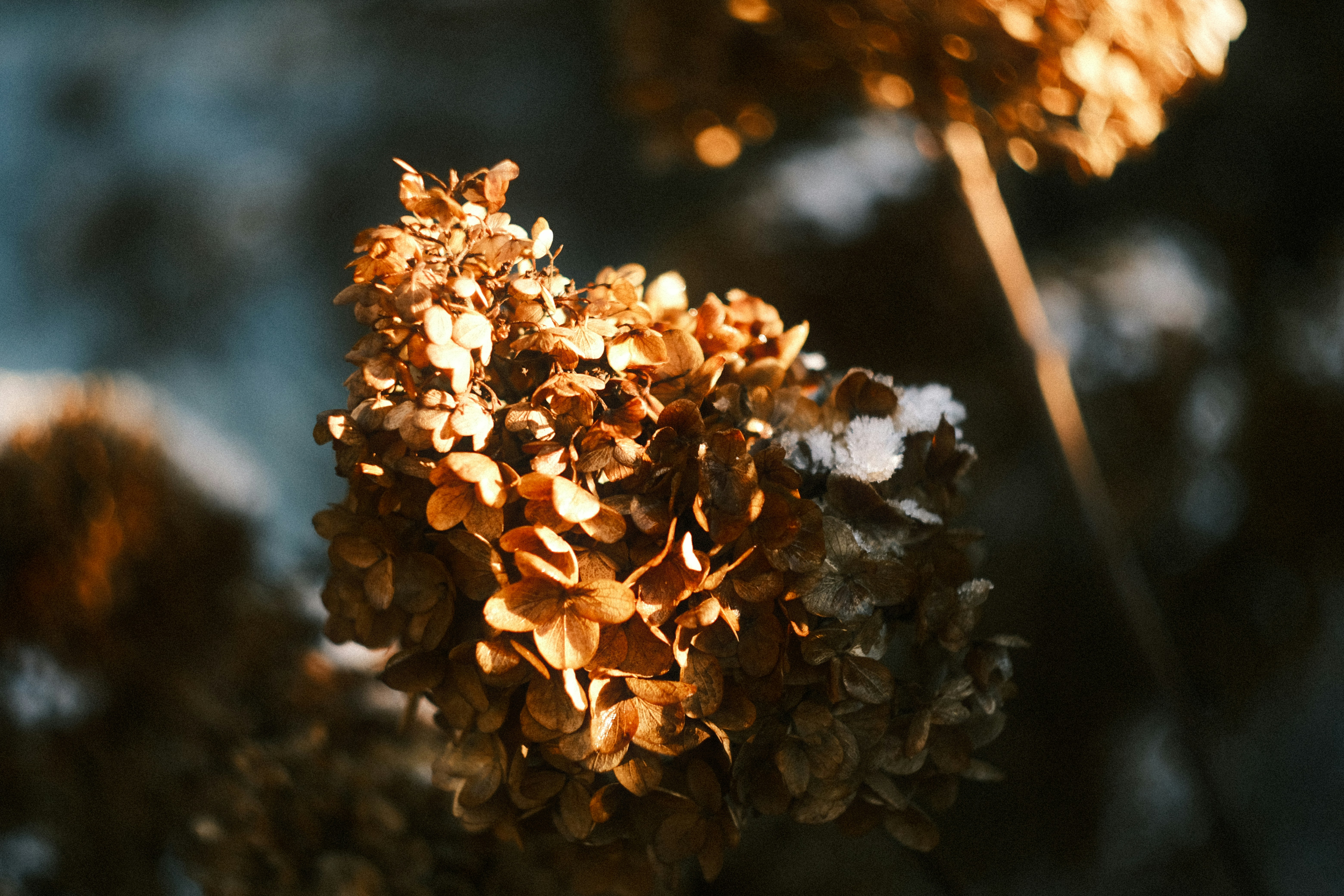 Photo by strangerrobijn123