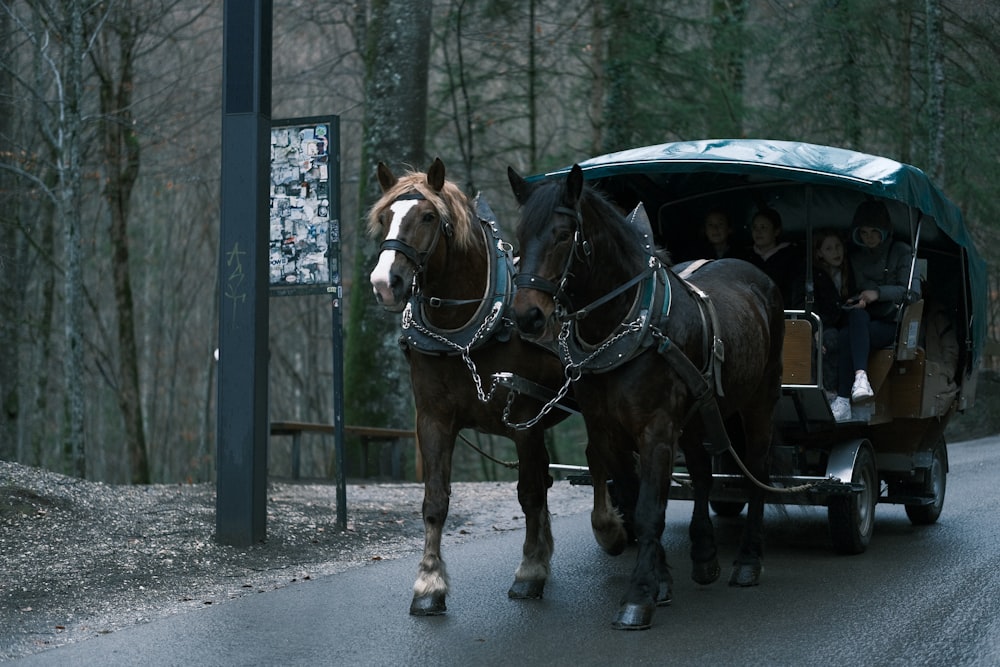 a couple of horses pulling a carriage down a road