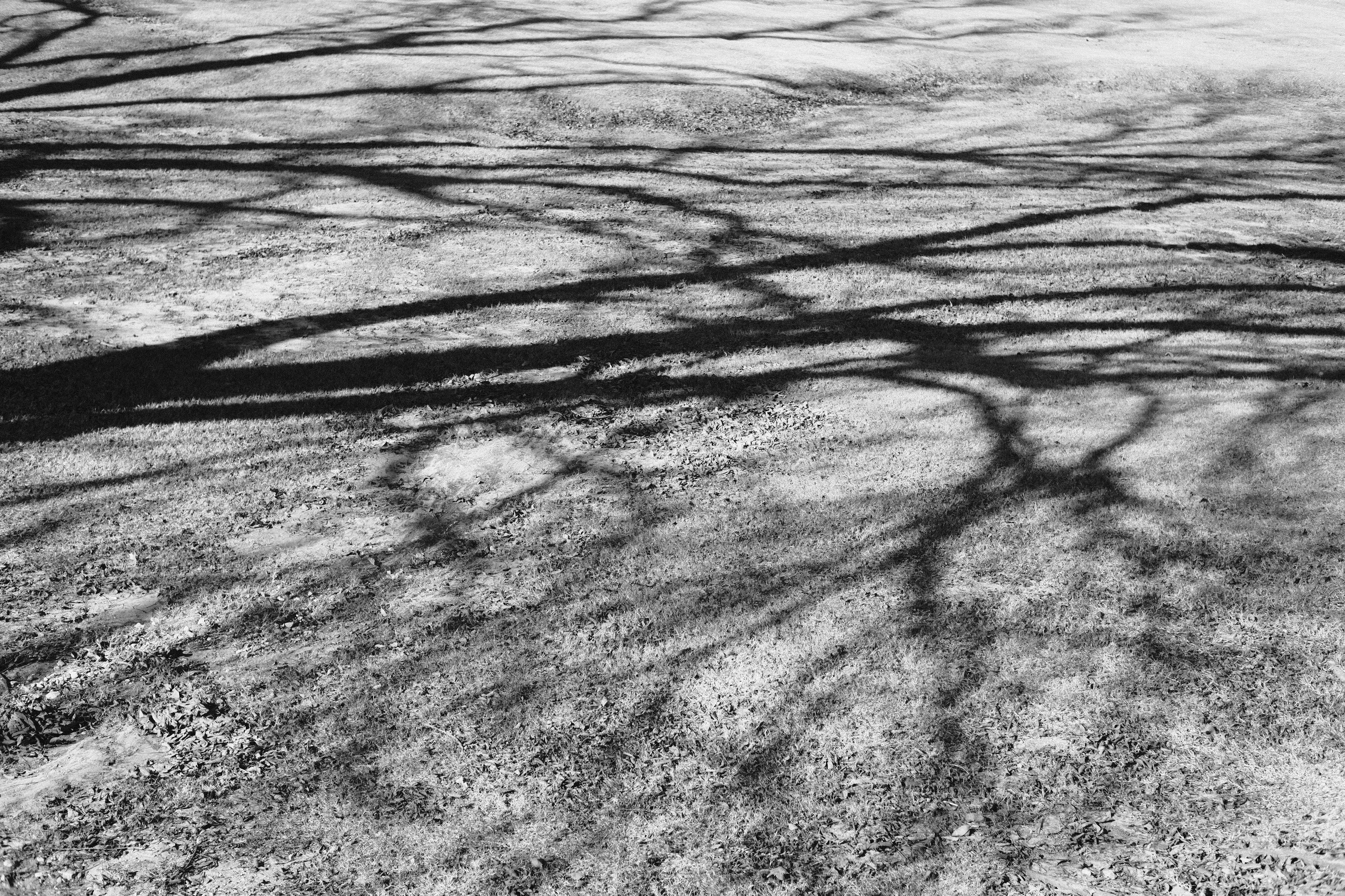 Photo by _jacksoonw_