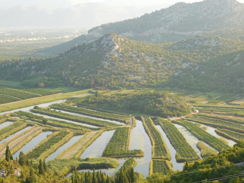 a river running through a lush green valley