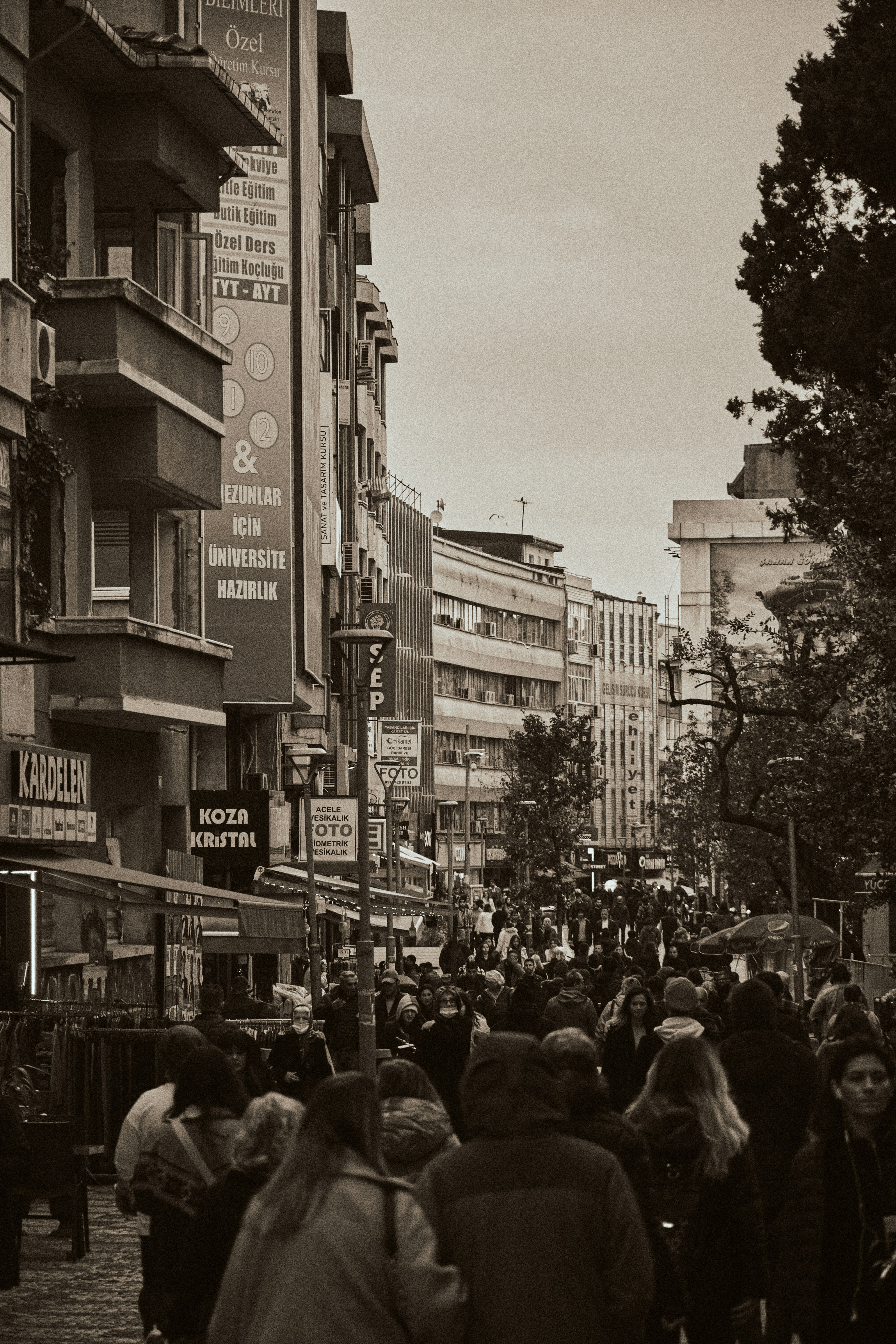 Halitaga