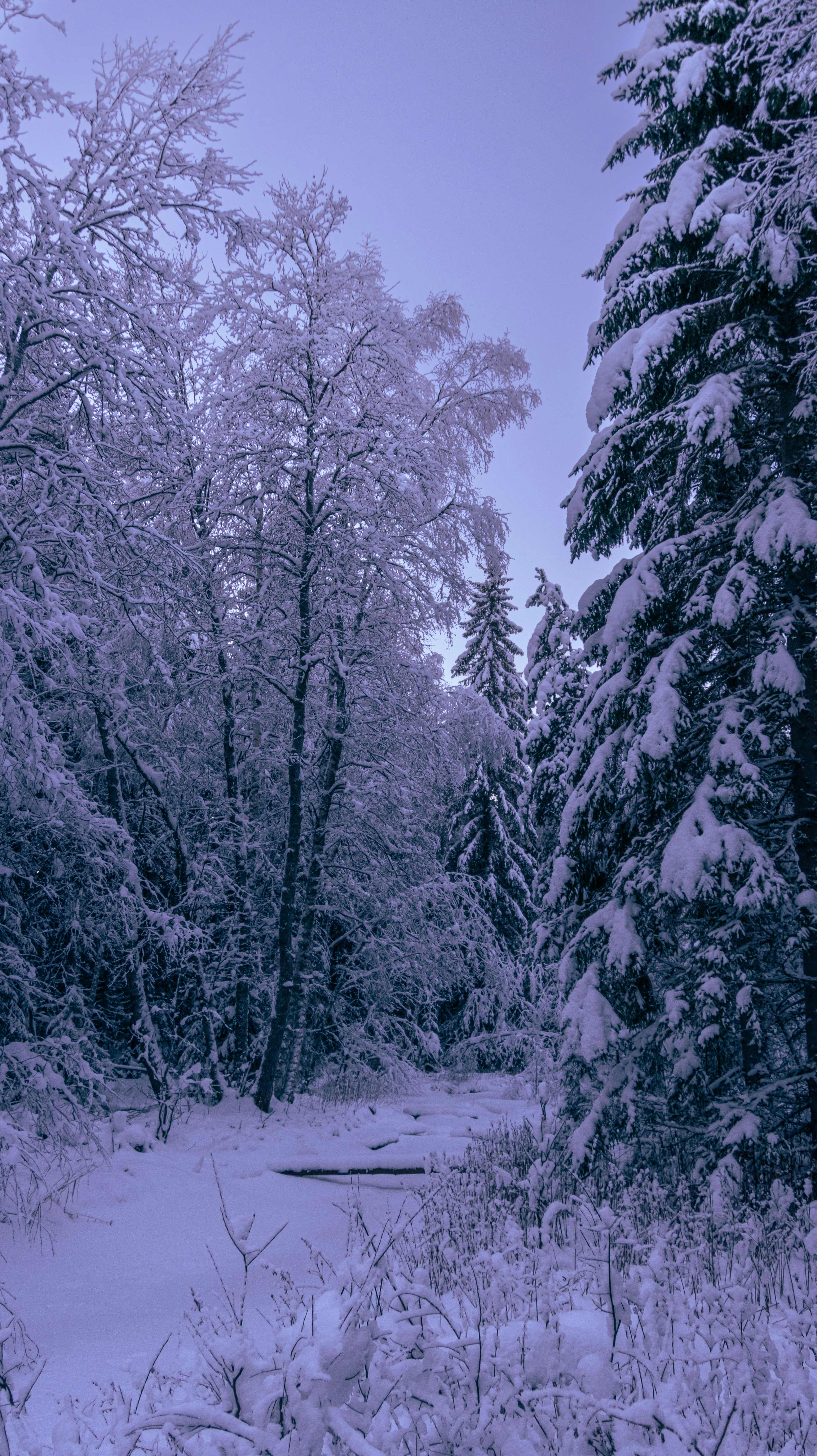 Photo by juho_aleksi_luomala