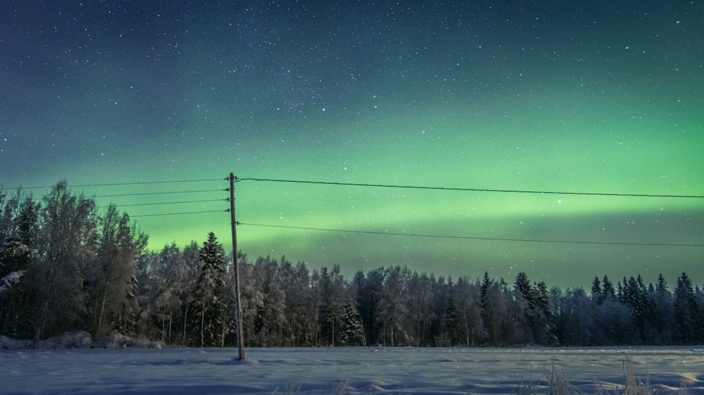 a green and blue aurora over a snow covered field