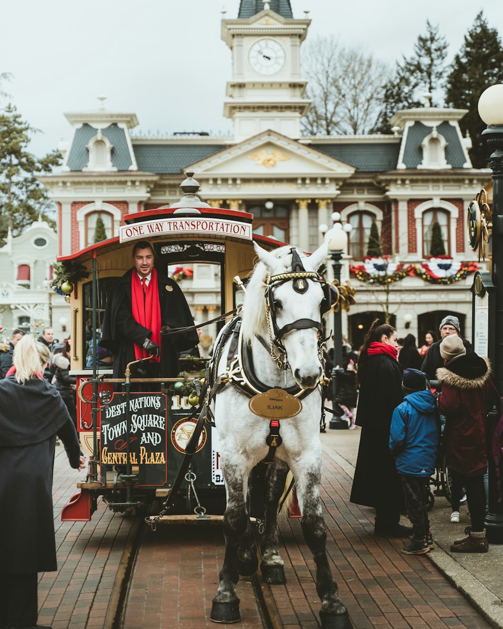 a white horse pulling a carriage down a street