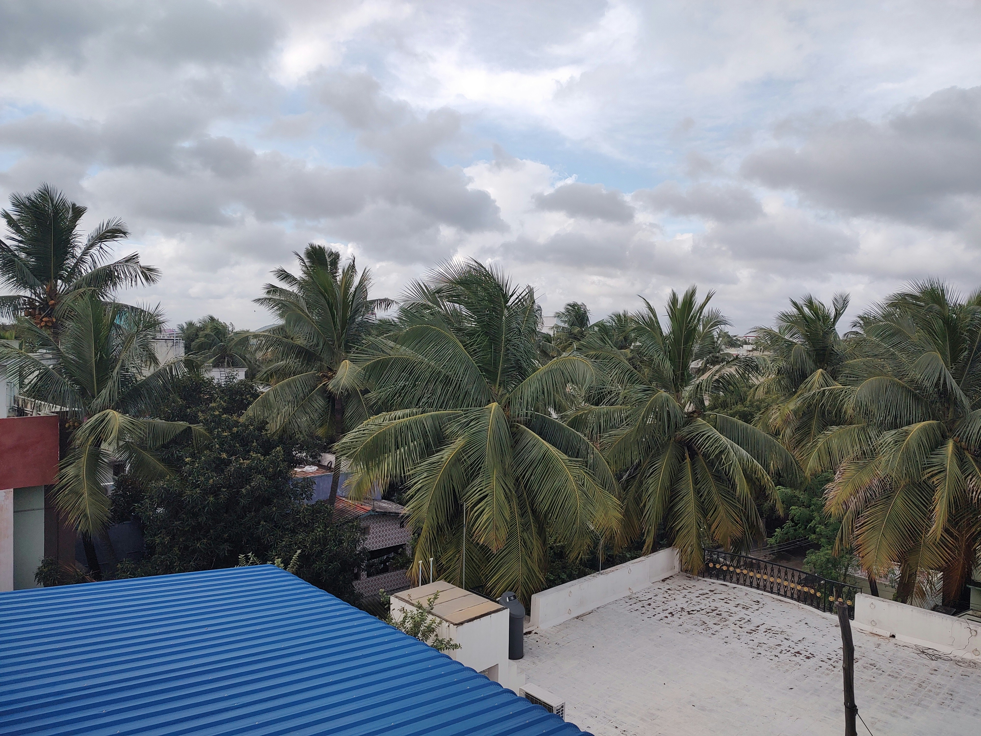 Photo by h_chandan