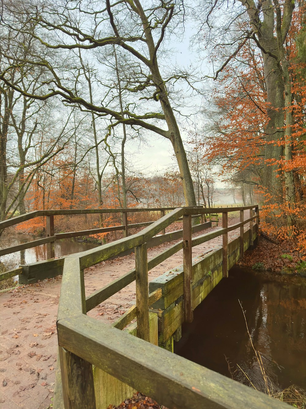 a wooden bridge over a small stream in a park
