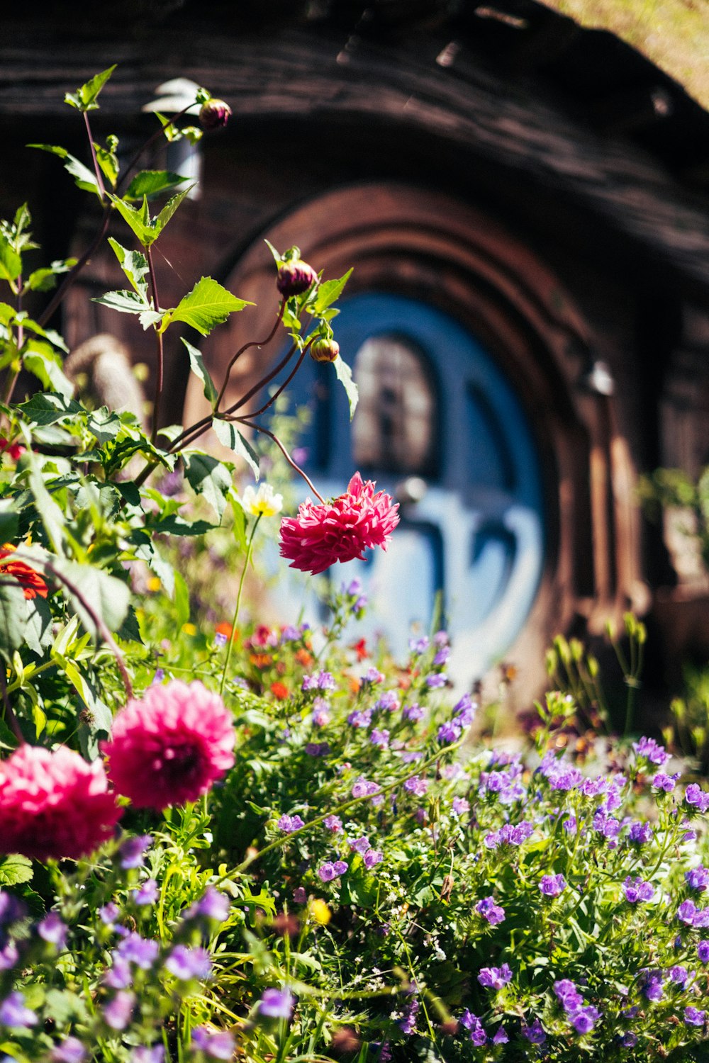 a garden with flowers and a hobboo in the background