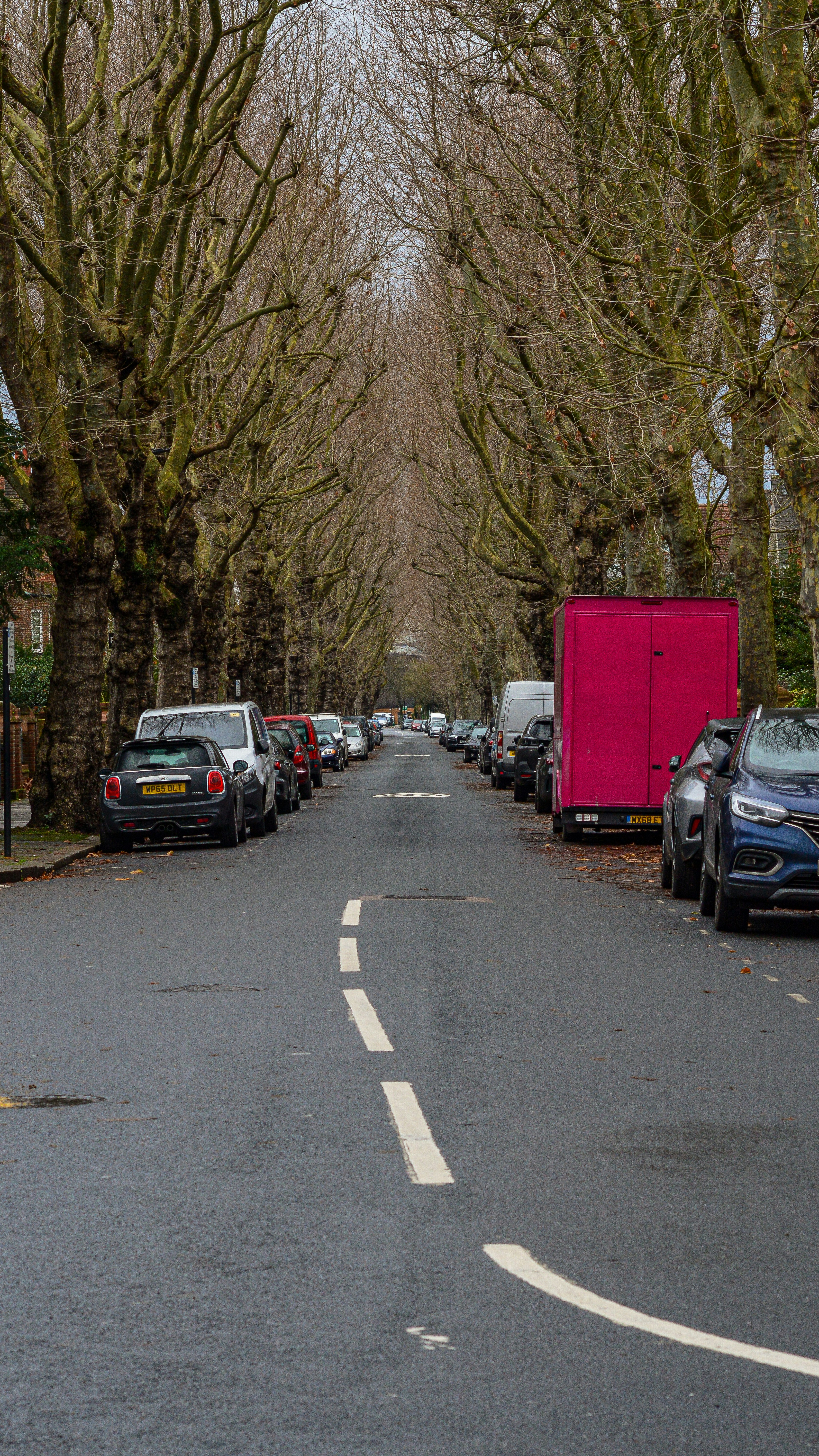 A street lined with parked cars and trees photo – Free Chiswick Image ...