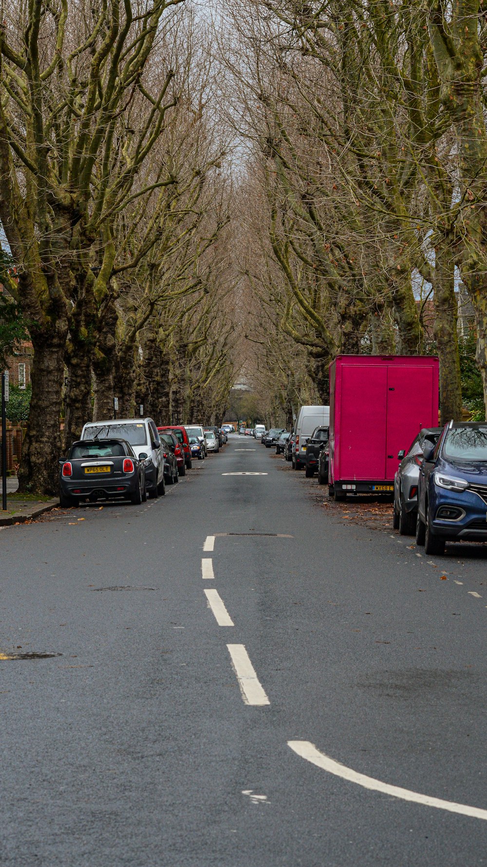 a street lined with parked cars and trees