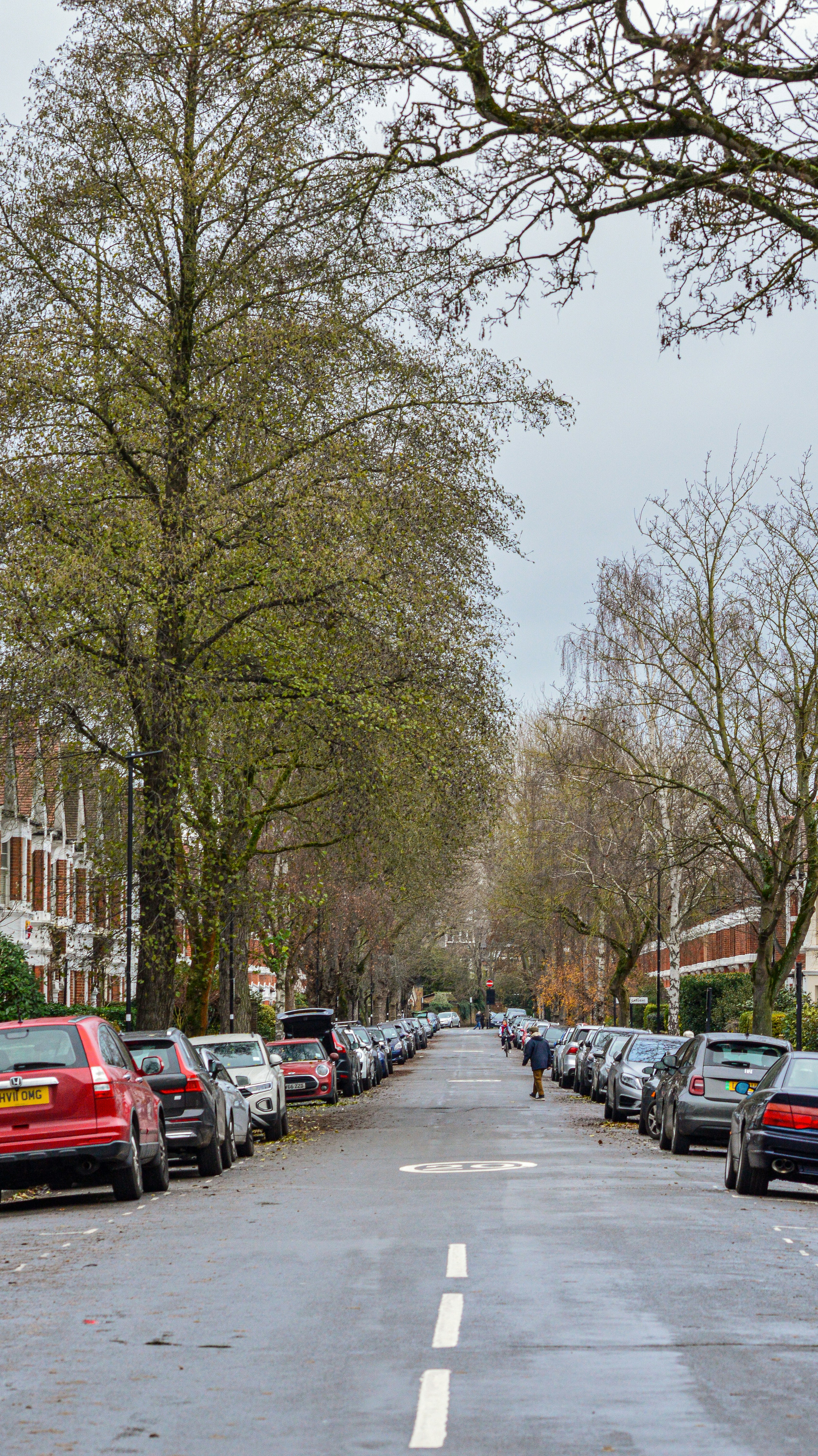 Photo by saidyigitcamlica