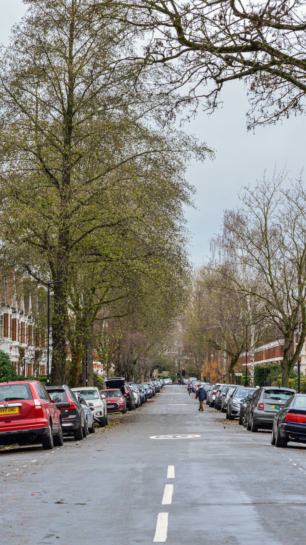 a street lined with parked cars and trees