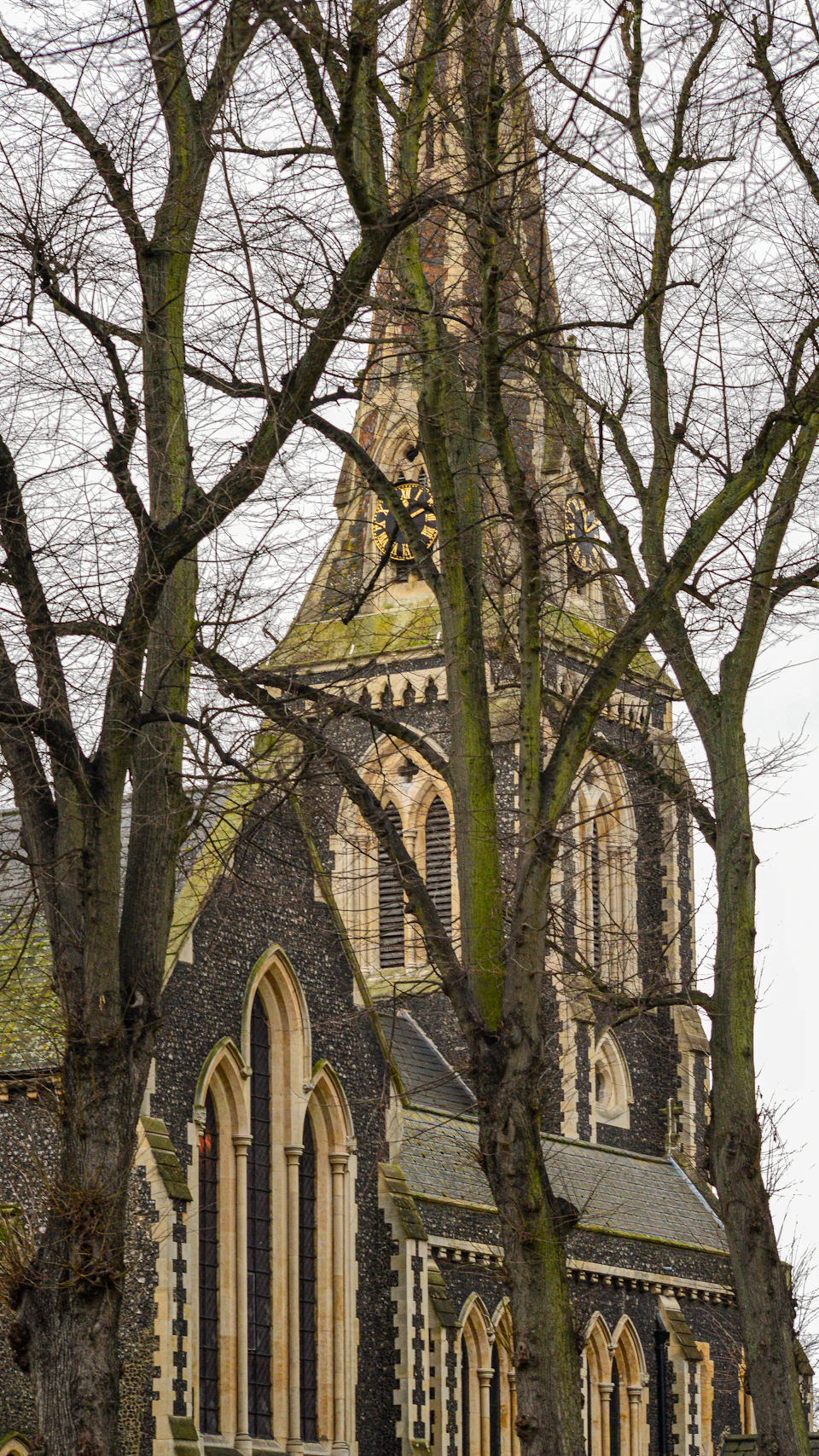 The image depicts a large, Gothic-style church with a tall spire and multiple arched windows. The church is constructed from stone and features a green moss growing on its roof. The perspective of the photo is taken from below, looking up at the imposing structure. In the foreground, there are trees with bare branches reaching out towards the sky.