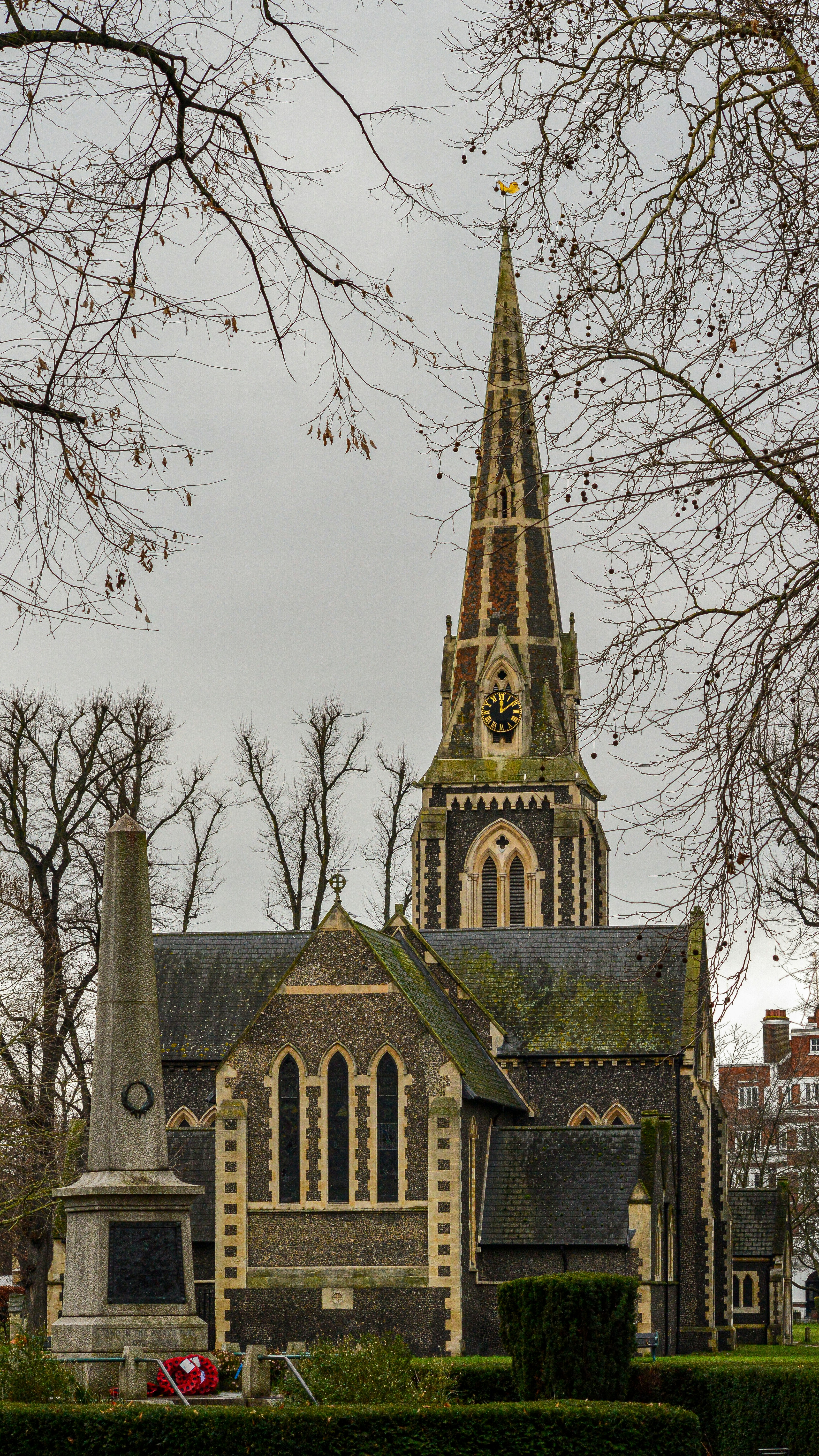 Photo by saidyigitcamlica