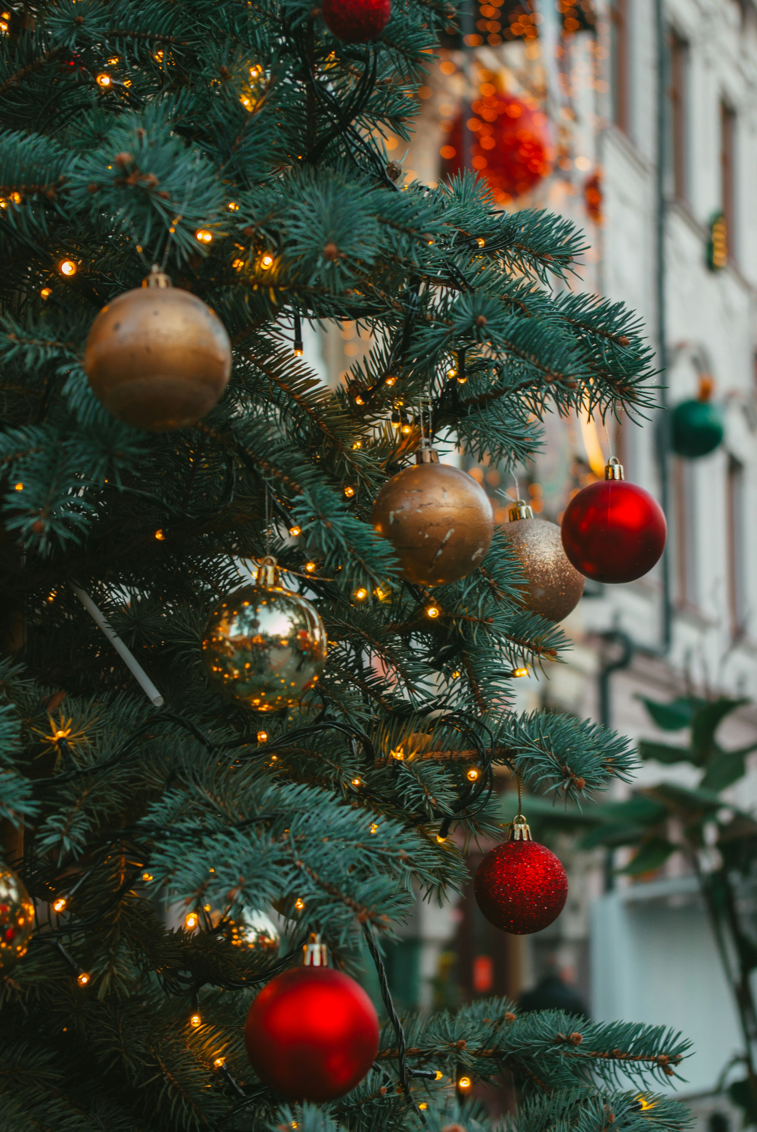 Photo by moonmoons_days