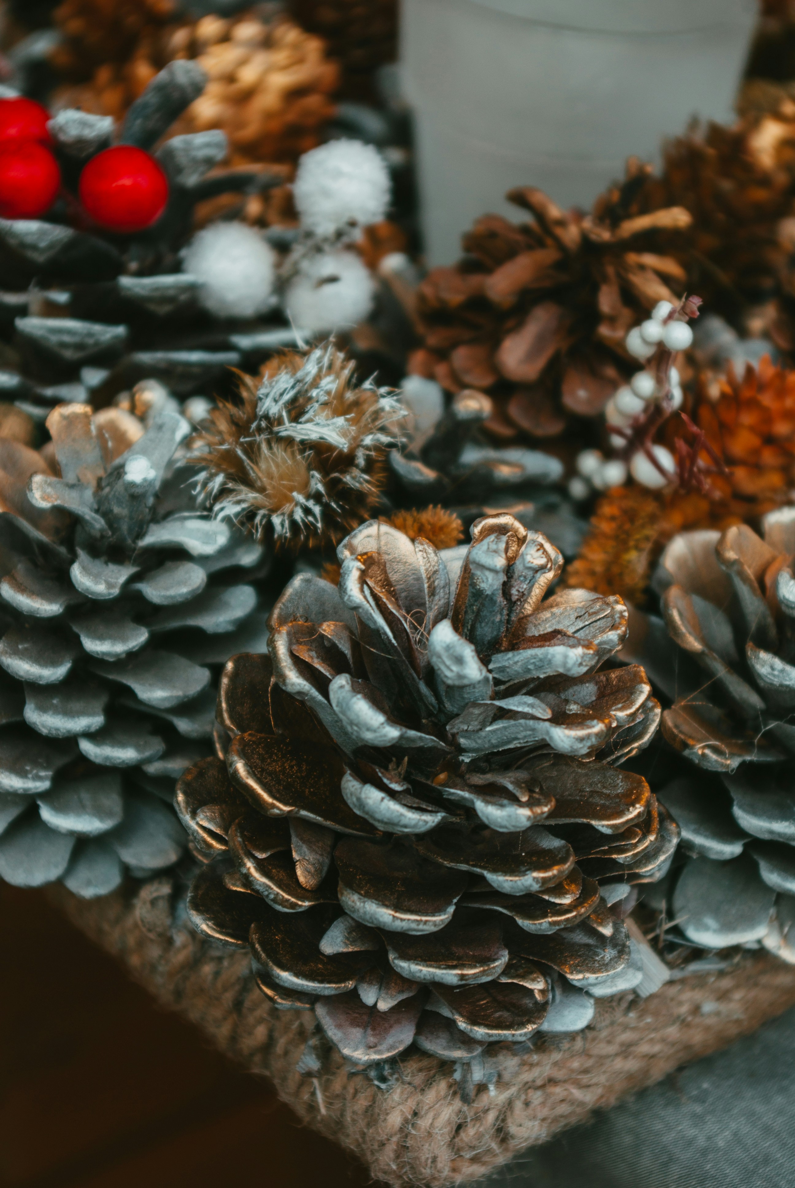 Photo by moonmoons_days