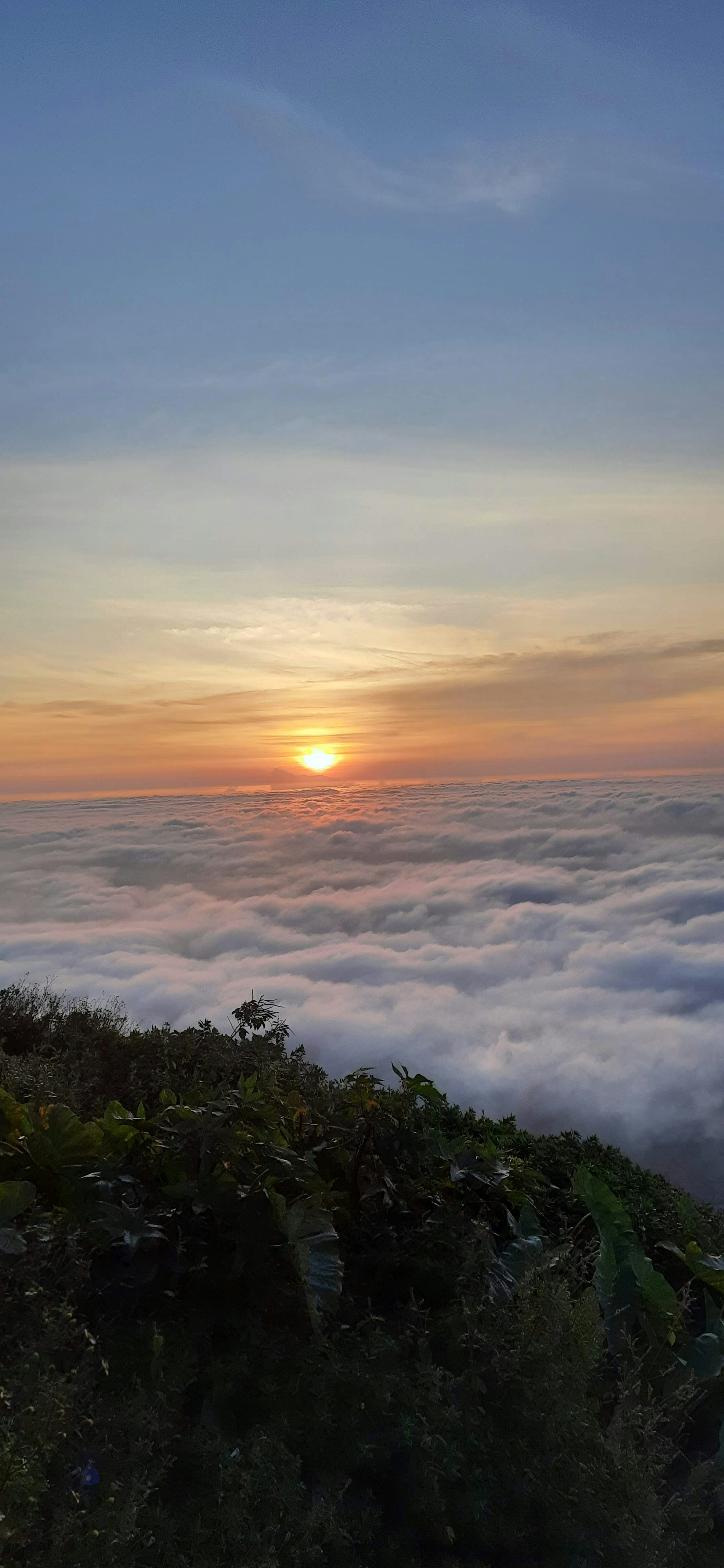 Photo by heisenberg_2645