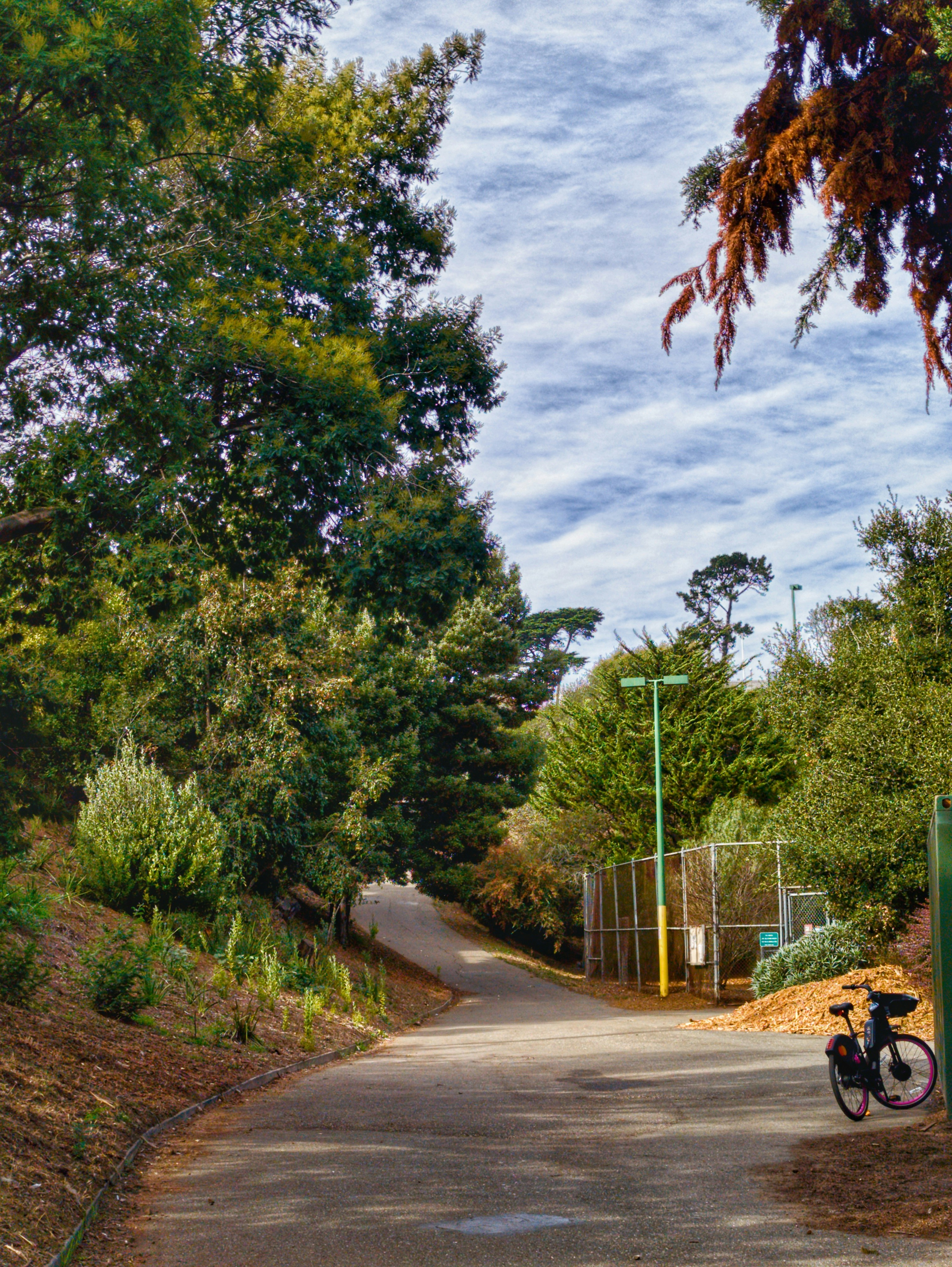a bike parked on the side of a road