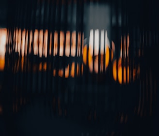 a close up of a bird cage with a blurry background