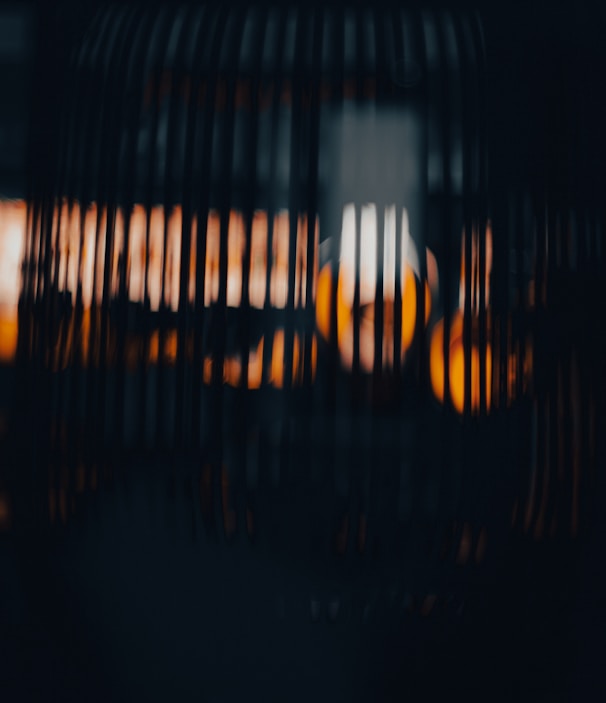 a close up of a bird cage with a blurry background