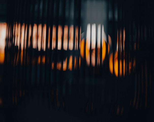 a close up of a bird cage with a blurry background