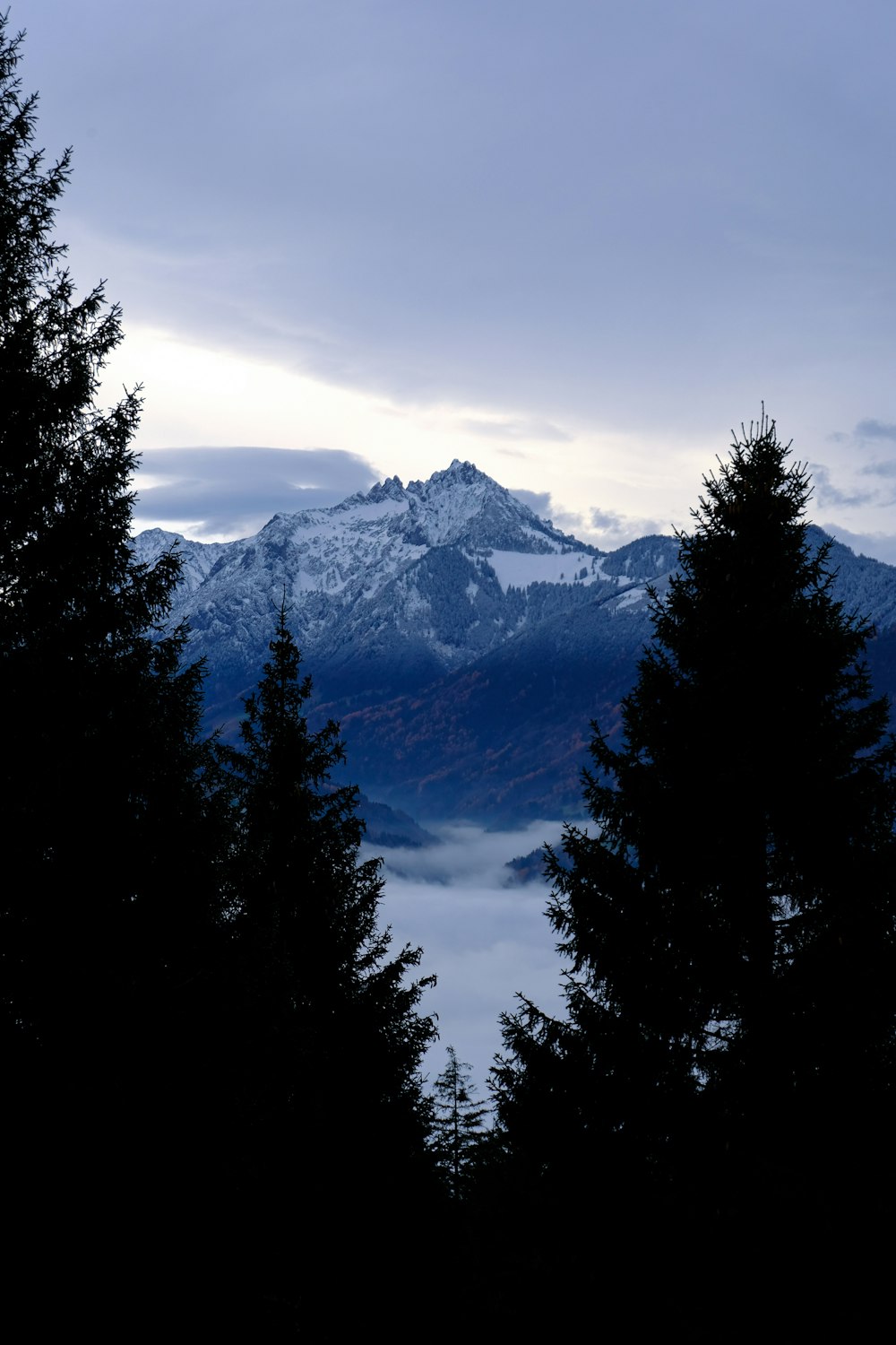 a view of a mountain range with trees in the foreground