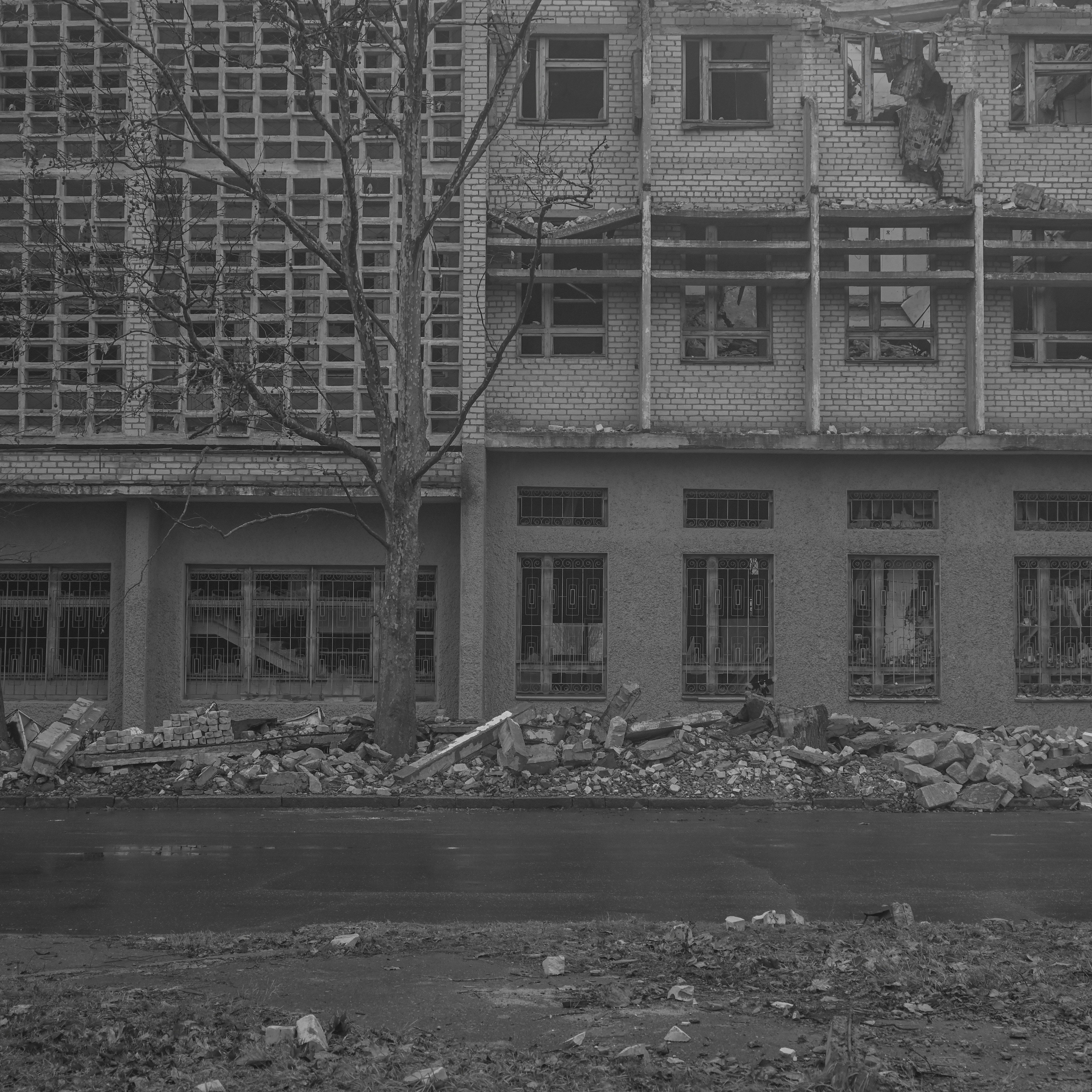 Photo by imagedealer