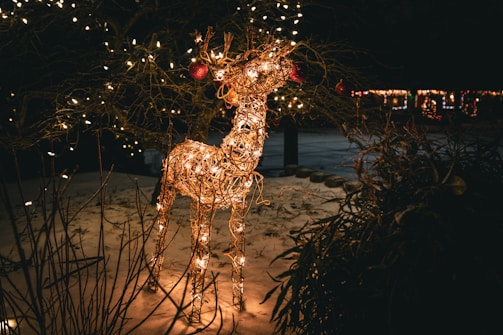 A wireframe reindeer sculpture covered in glowing, warm white fairy lights is placed in a snowy outdoor setting. Nearby, branches and a tree are also adorned with similar lights. In the background, blurred lights from other decorations add to the festive atmosphere.