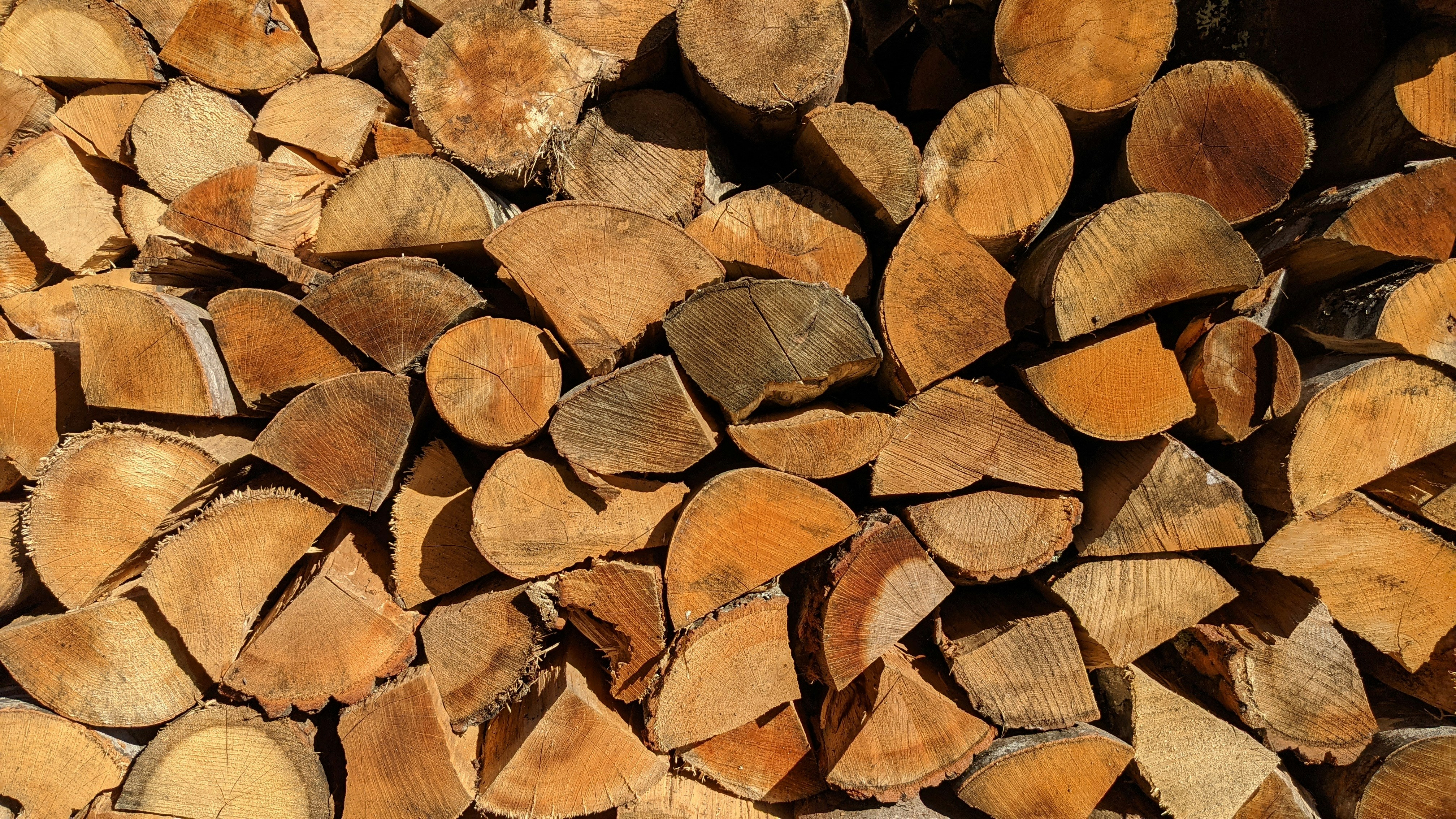 Фонд Ark Invest Кеті Вуд активно купує акції Google, Coinbase, Circle та Bitcoin ETF.