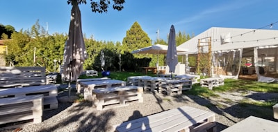 A vibrant outdoor setting featuring recycled wooden pallets.