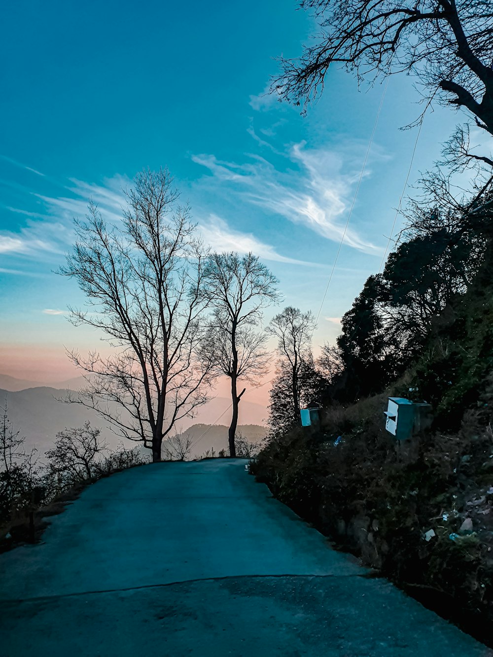 a view of a road with trees and mountains in the background